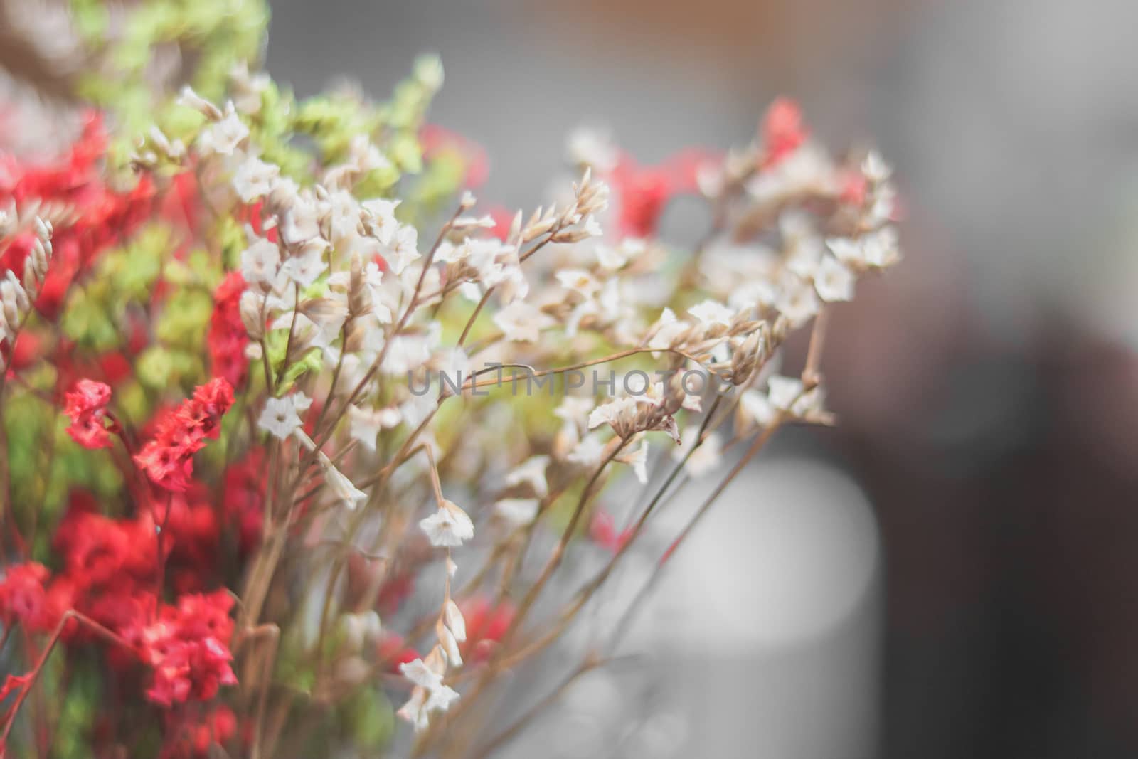 Colorful grass wild flowers with blur background