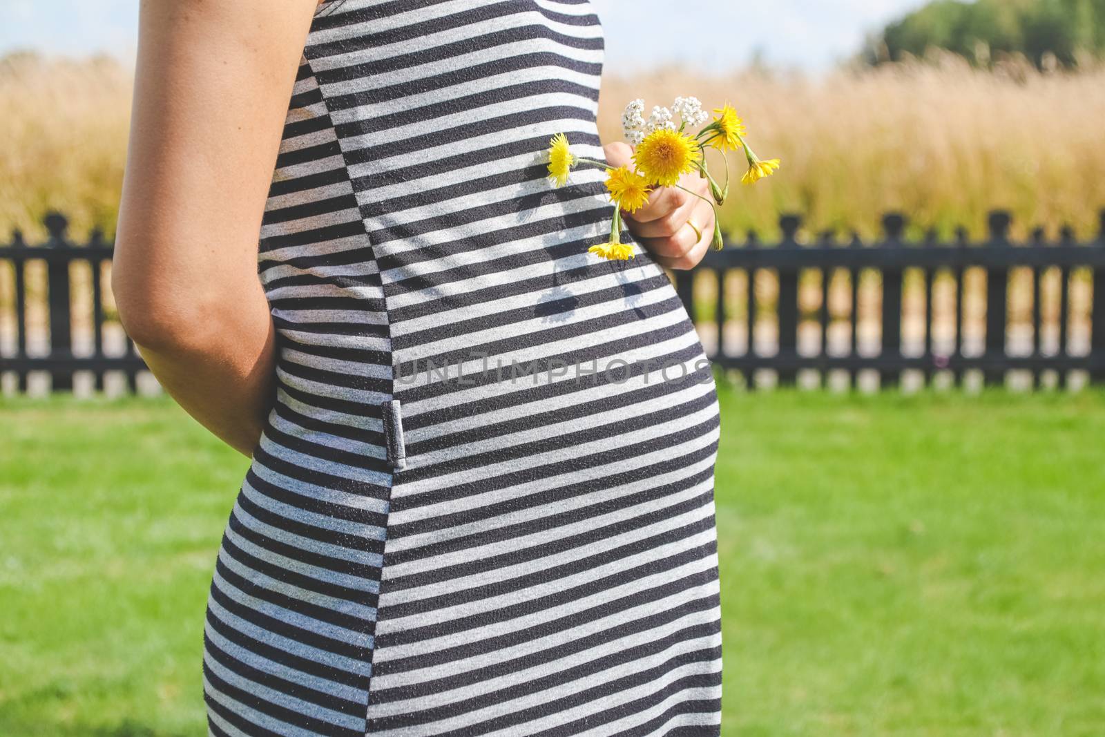 Pregnant woman hands give yellow wild flowers with sunny meadow and blue sky.Romantic and love feelings