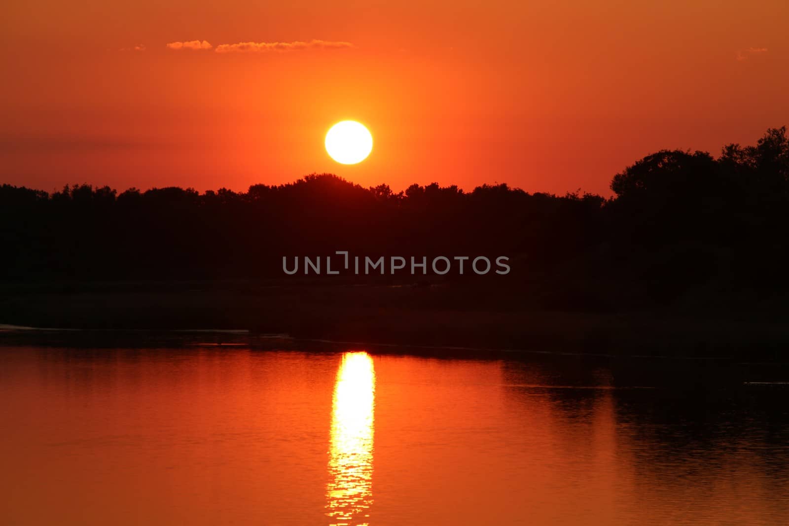 A great sunset with a lake view and bushes and trees in the background