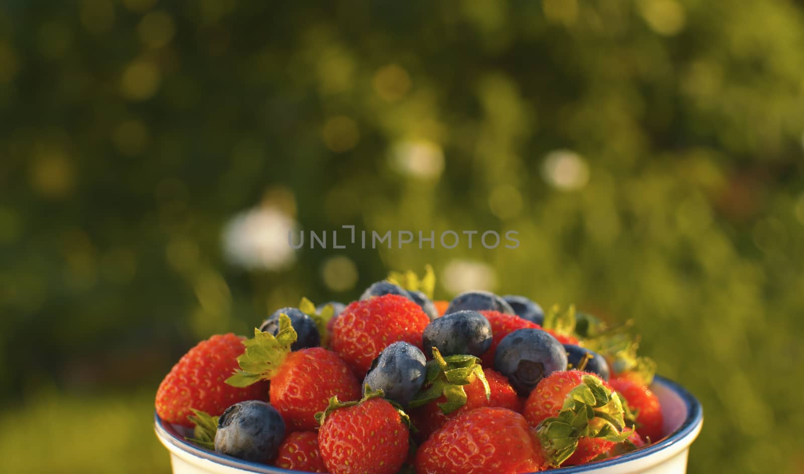 Blueberries and strawberry in a bowl by Alize