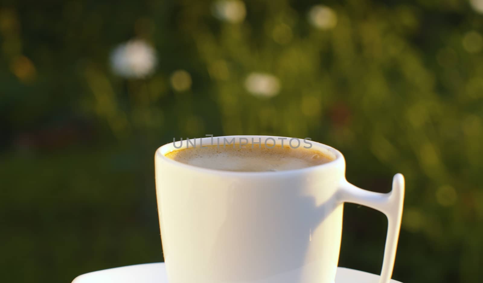 Close up cup of coffee in a garden on blurry natural background. Breakfast outdoors. Macro cup of hot drink on a table. Life in nature