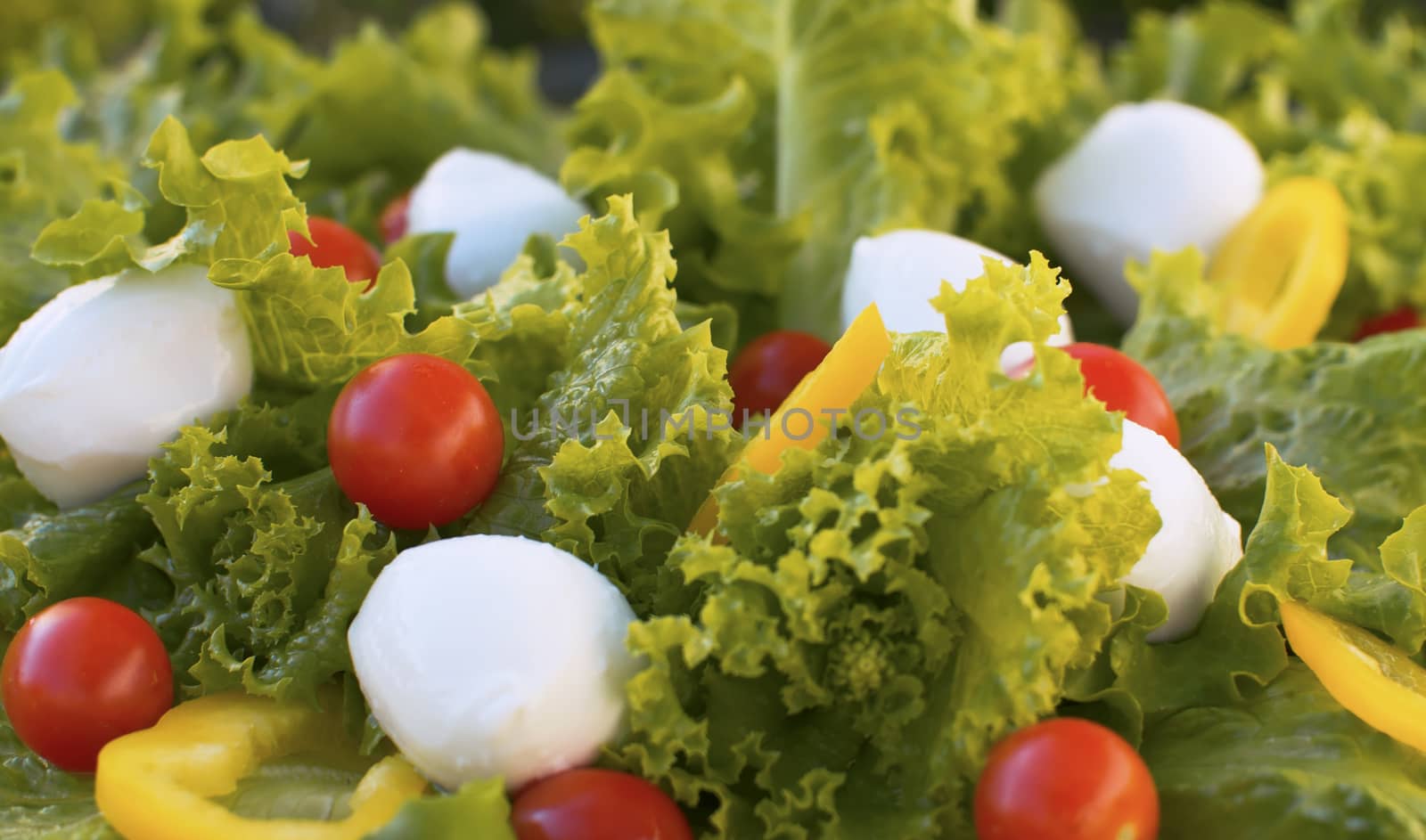 Tomato and Mozzarella Salad by Alize