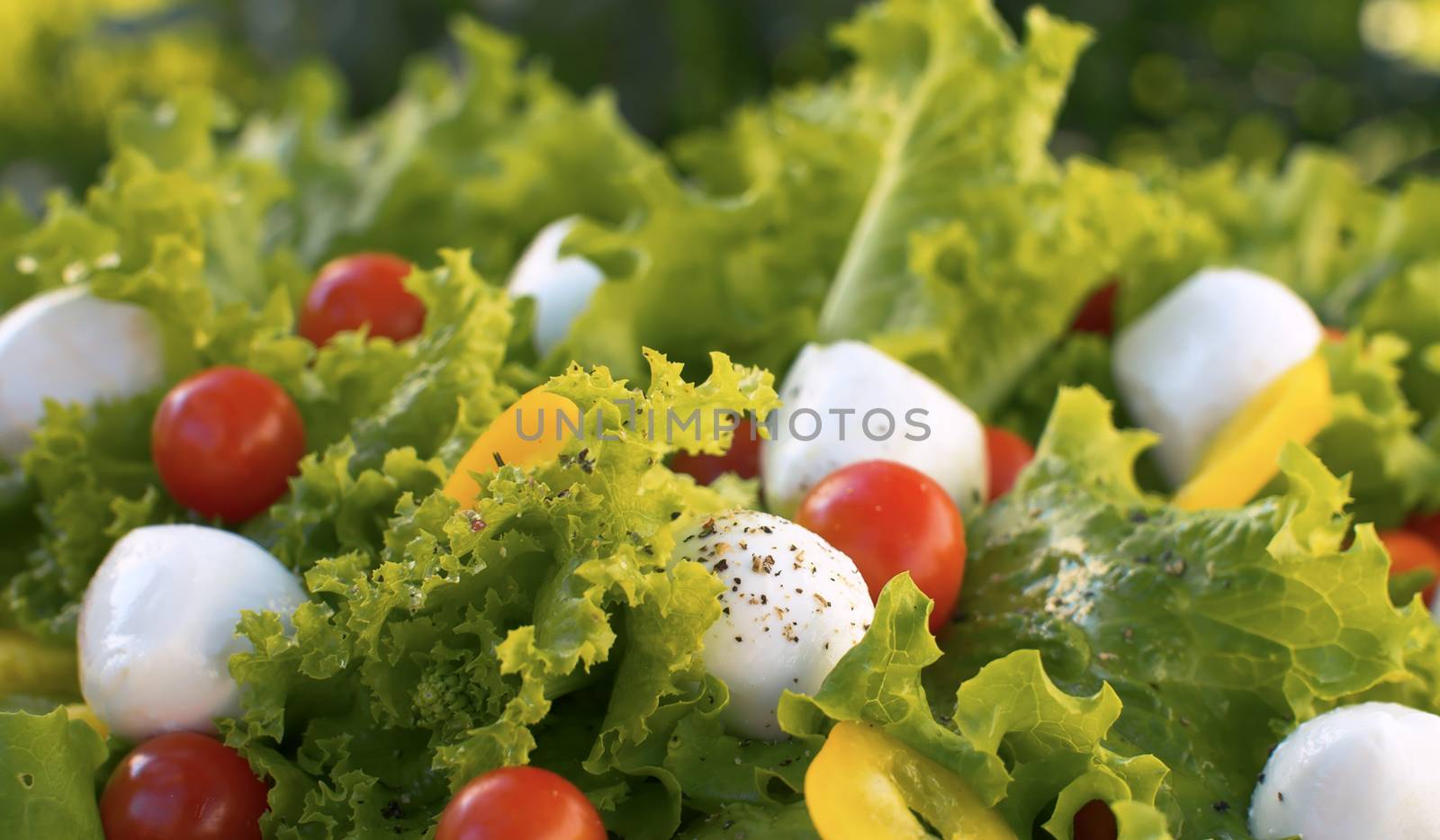 Close up black pepper pouring into a salad. Vegetarian and organic food concept. Mediterranean salad. Macro shot