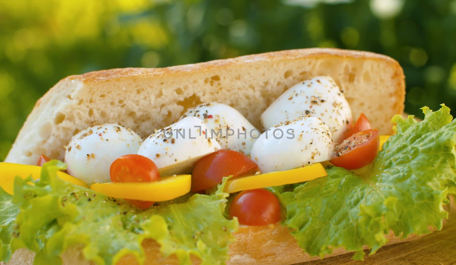 Close up sandwich with mozzarella, tomato and lettuce on green natural background. Lunch in the garden at summer day