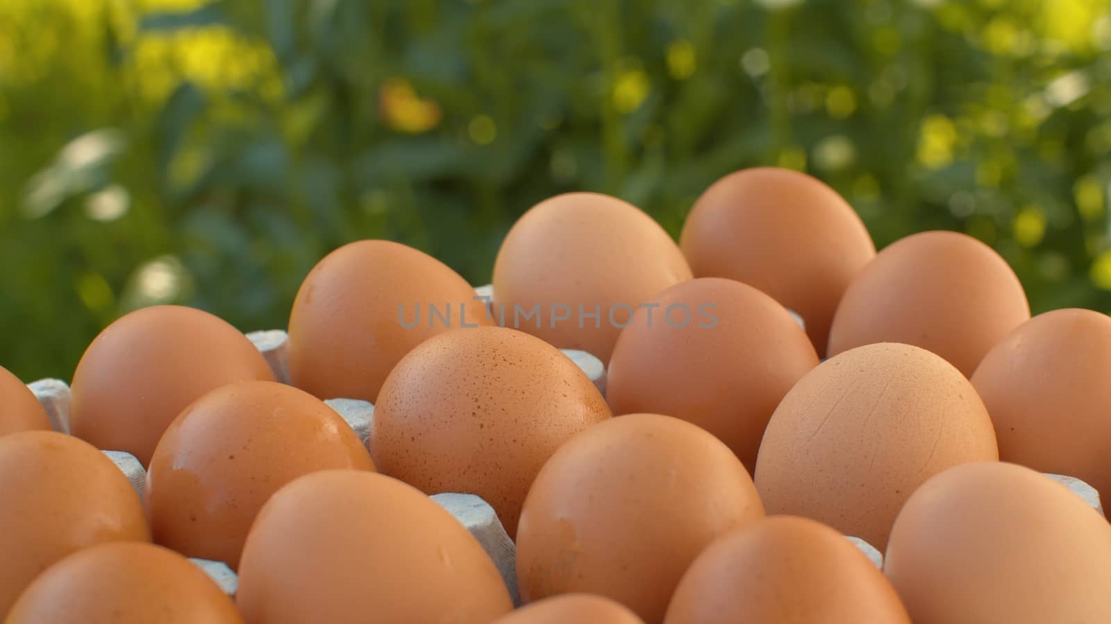Close up fresh brown eggs in a cardboard egg box slowly rotating on blurry green natural background