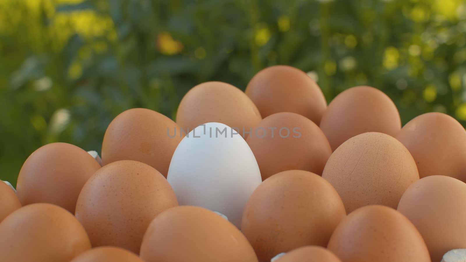 Close up fresh brown eggs in a cardboard egg box slowly rotating on blurry green natural background