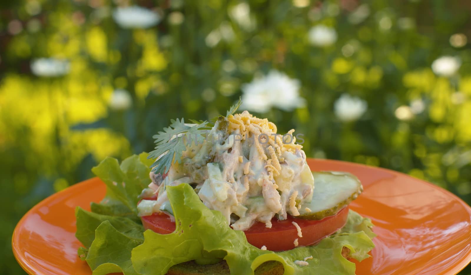 Close up sandwich with salad, lettuce and tomato on red plate slowly rotating on blurry green background. Snack in the garden.