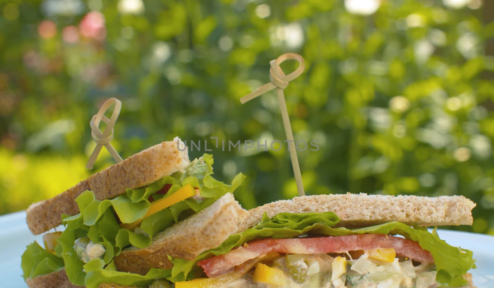 Close up club sandwiches with salad, lettuce and tomato on blue plate slowly rotating on blurry natural background. Snack in the garden.