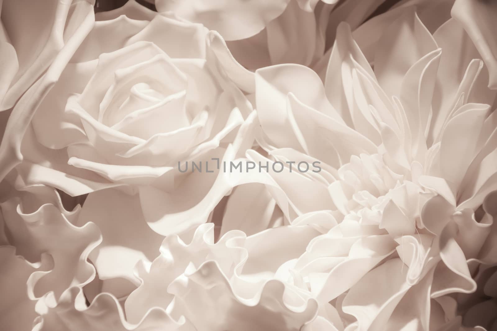 White rose close-up background,Retro style.