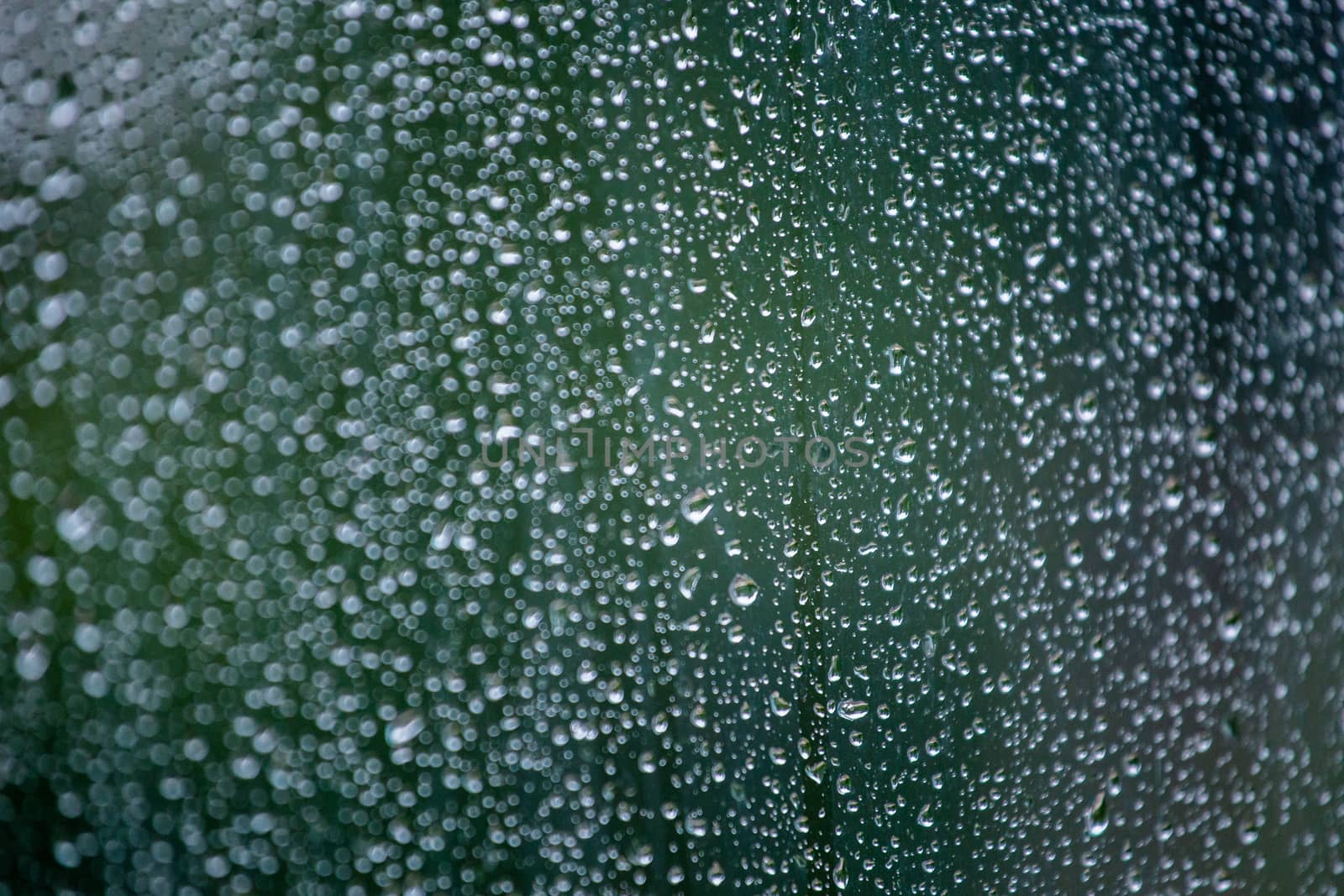 Abstract background of wet window glass with rain water drops. Summer cold green blurred backdrop and selective focus.