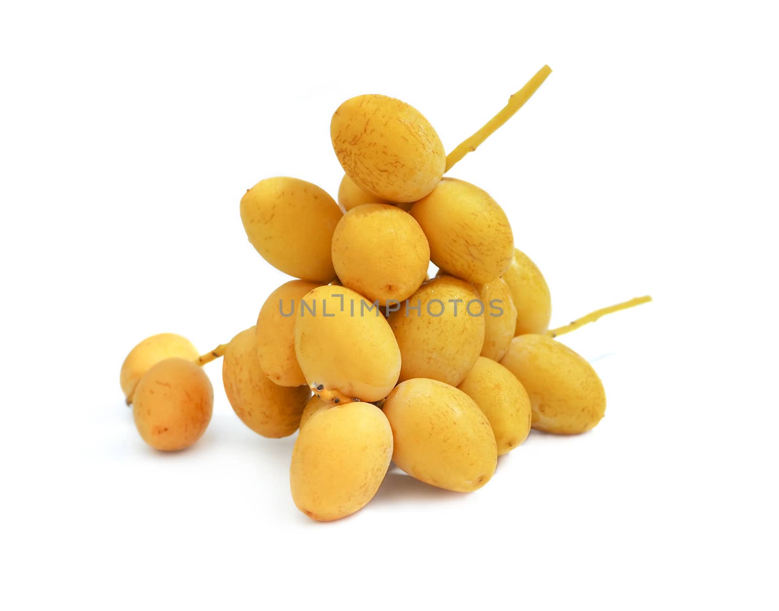 Yellow date palm Isolated on white background.
