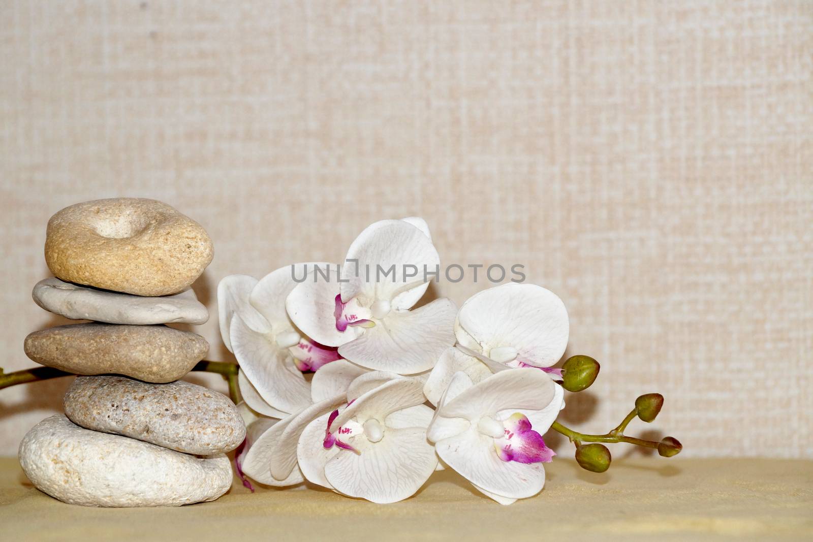 white orchid flower and natural stone pyramid, relaxing background by Annado