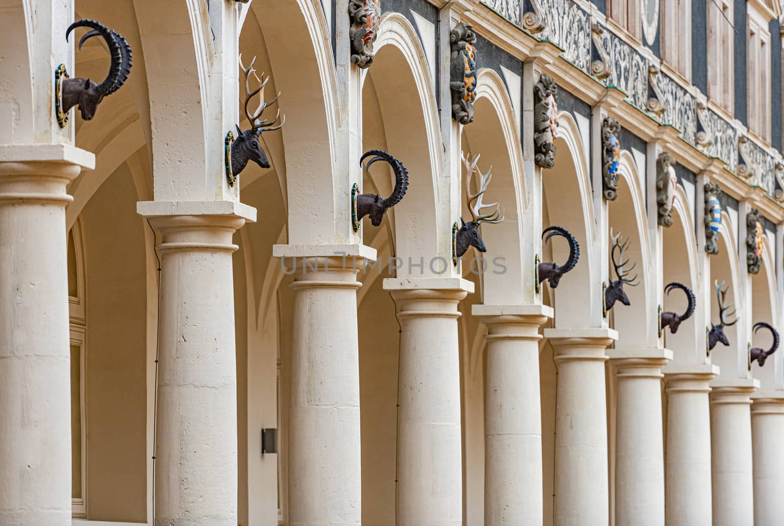 Old building with columns in Dresden, Germany. Animal heads on top.