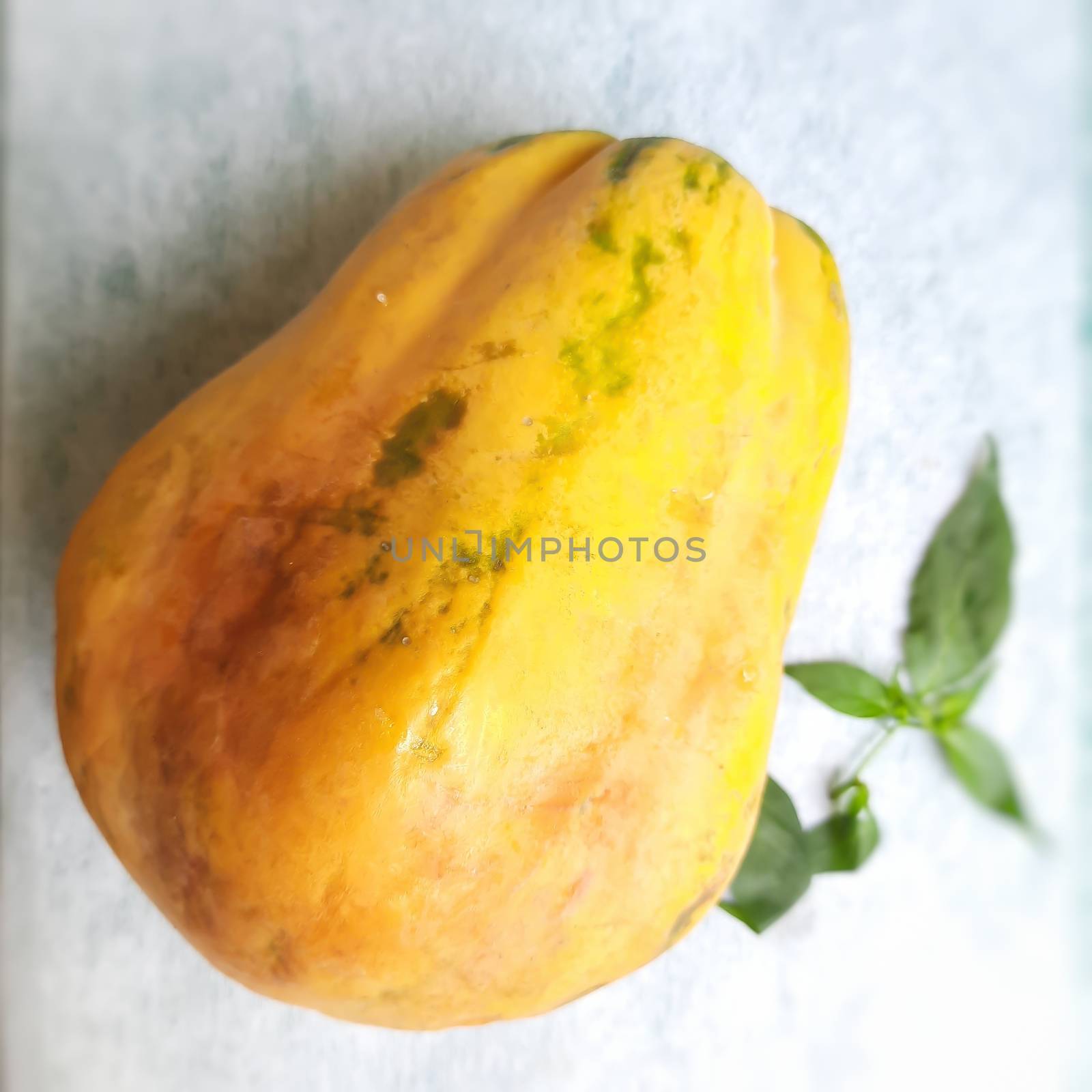 Yellow color fresh papaya kept in white color background and rich in fibre Vitamin C and antioxidants Boosts your immunity Good for diabetics and eyes also prevent cholesterol build up in our arteries
