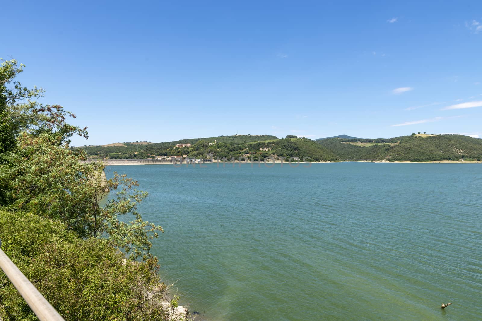Corbara lake in the province of Perugia on a sunny day