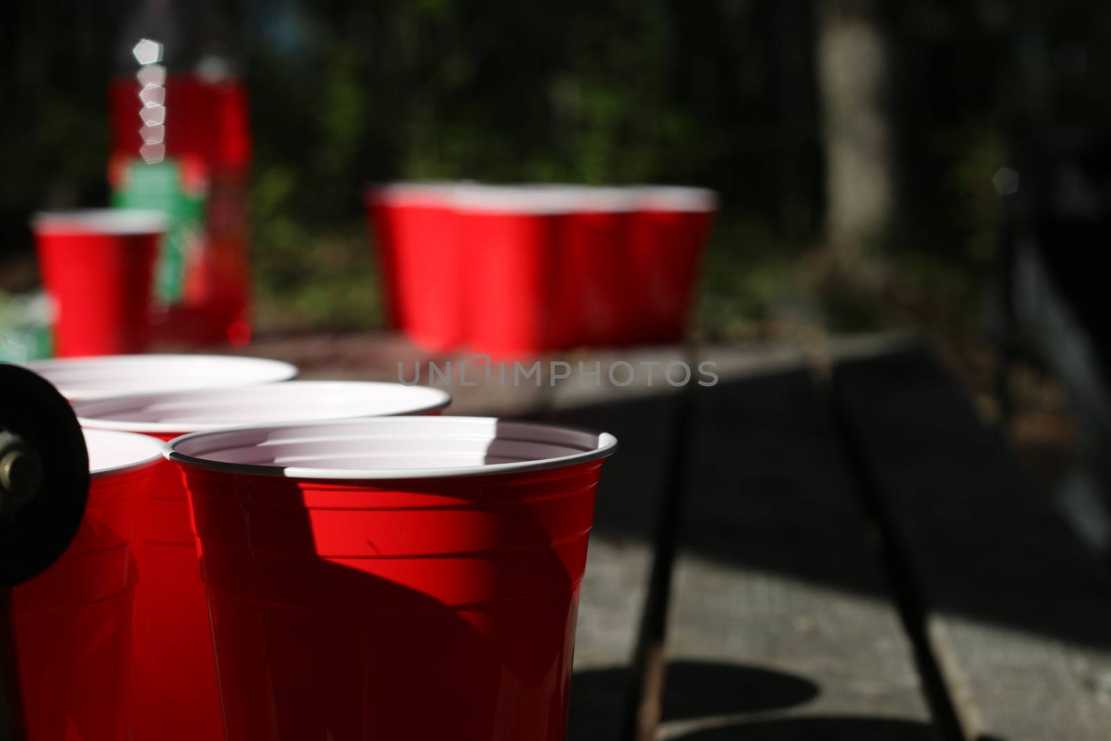 beer pong cups set up outside on picnic table by mynewturtle1