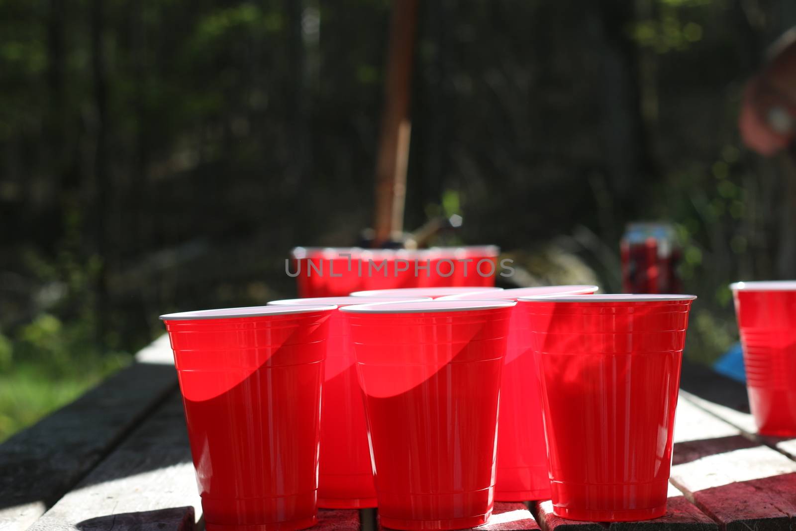 beer pong cups set up outside on picnic table. High quality photo