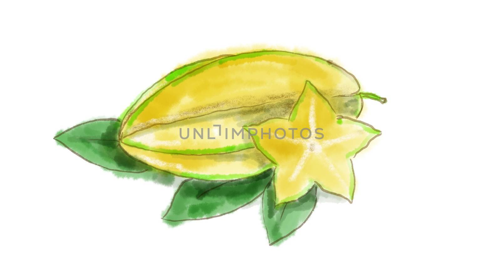 Watercolor drawing of a Carambola, or star fruit, the fruit of Averrhoa carambola on white.