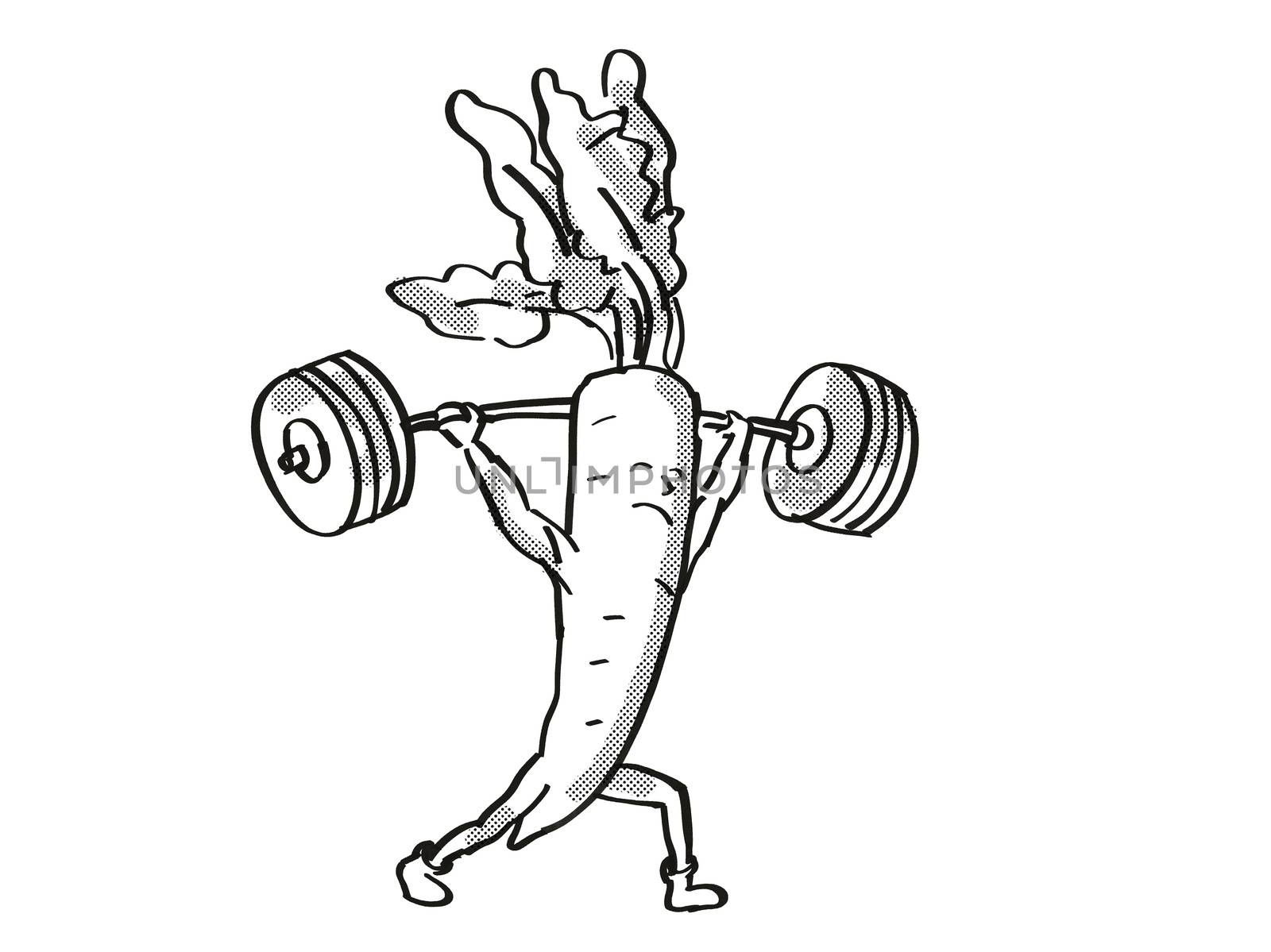 Retro cartoon style drawing of a Radish, a healthy vegetable lifting a barbell on isolated white background done in black and white.