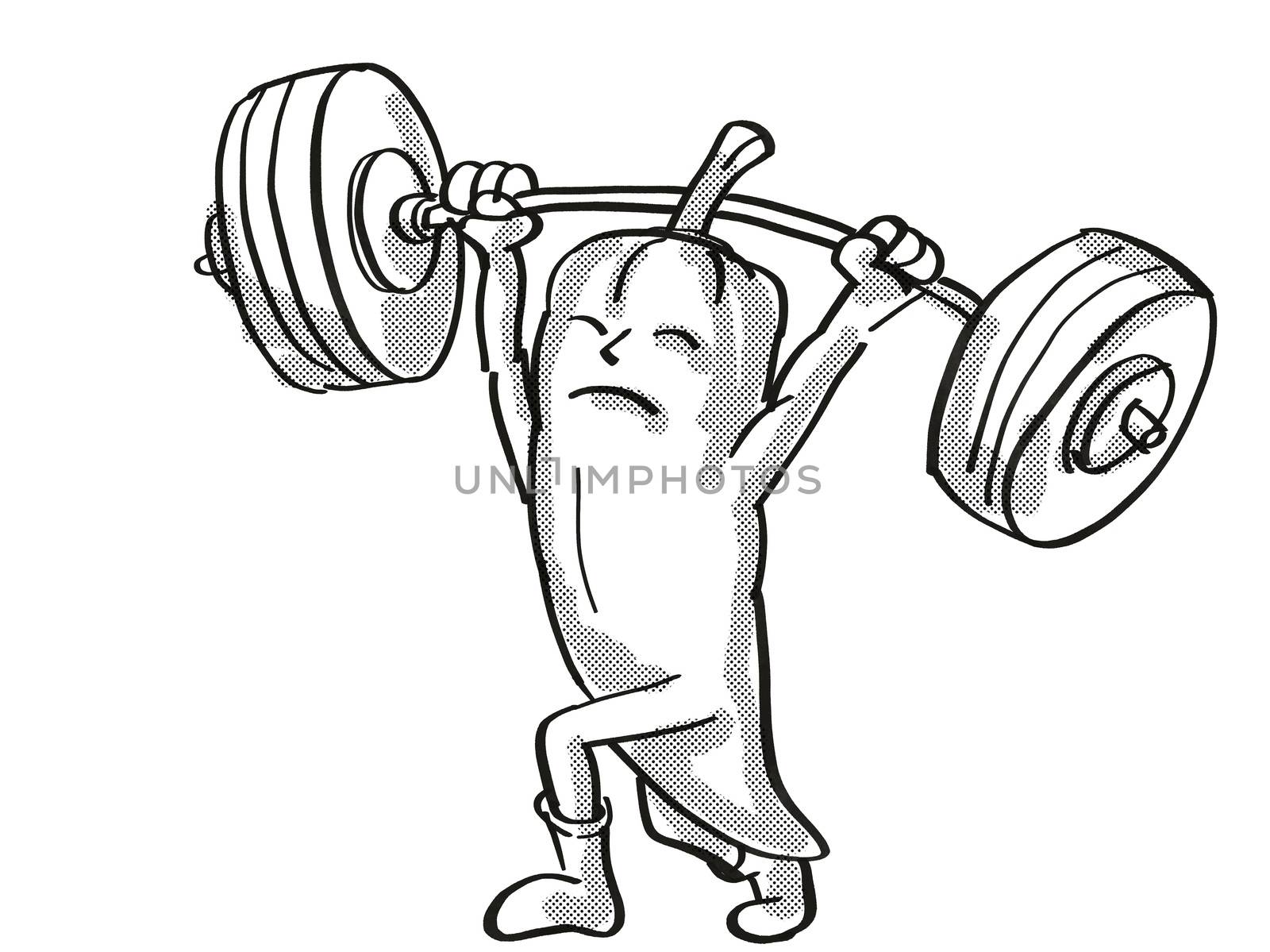 Retro cartoon style drawing of a Red Chili Pepper, a healthy vegetable lifting a barbell on isolated white background done in black and white