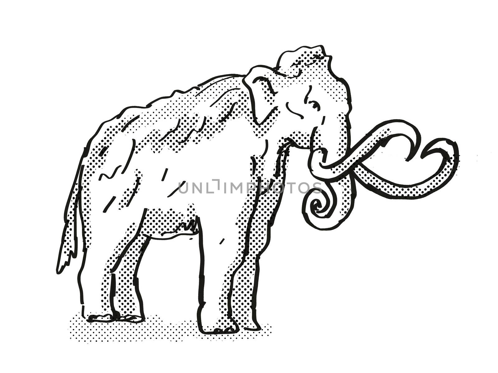 Retro cartoon style drawing of a Columbia Mammoth, an extinct North American wildlife species on isolated background done in black and white full body.