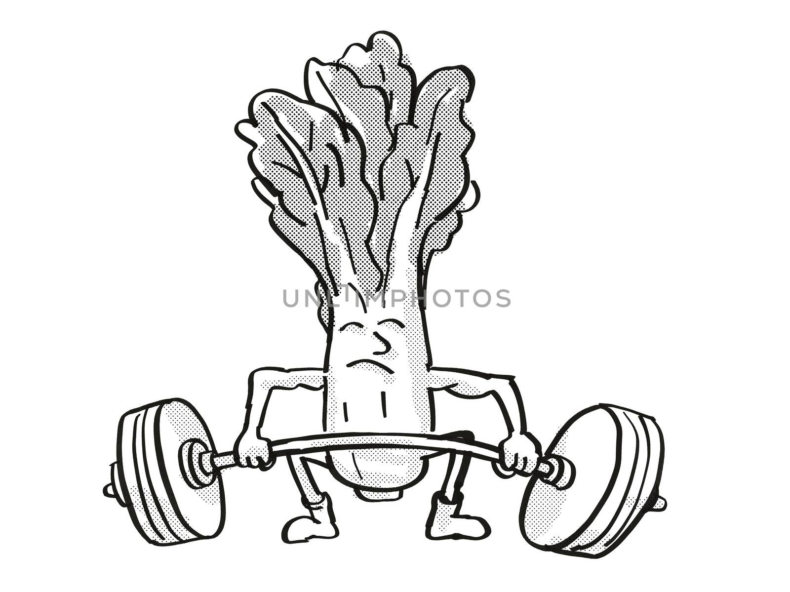 Retro cartoon style drawing of a Bok choy, pak choi or pok choi, a healthy vegetable lifting a barbell on isolated white background done in black and white.