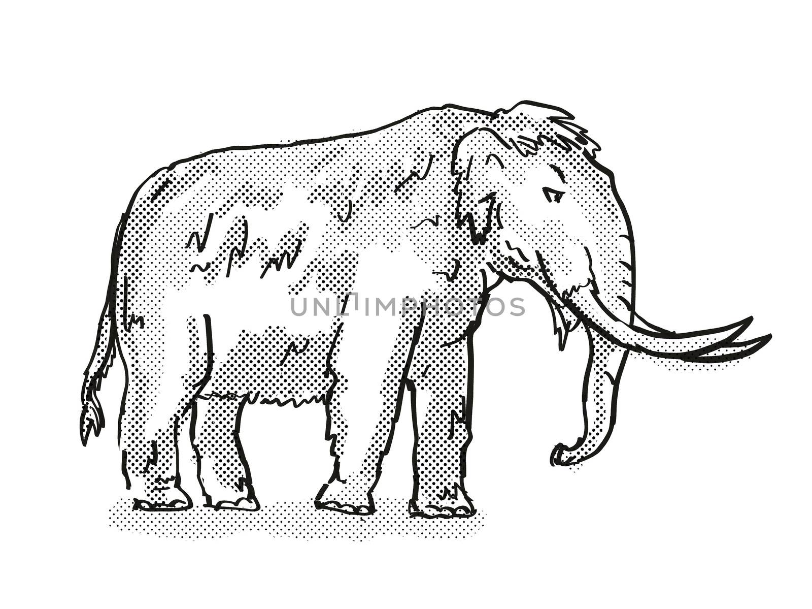 Retro cartoon style drawing of an American Mastodon, an extinct North American wildlife species on isolated background done in black and white full body.