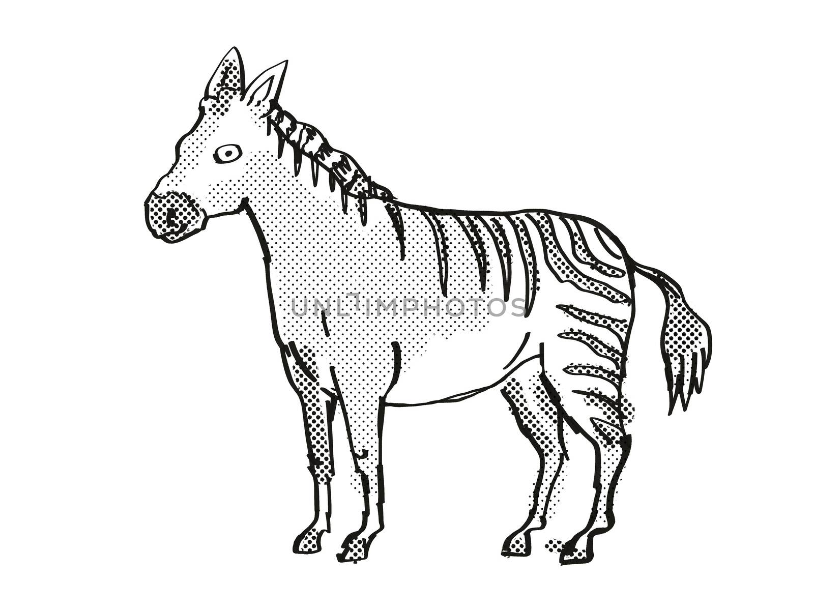 Hagerman Horse Extinct  North American Wildlife Cartoon Drawing by patrimonio