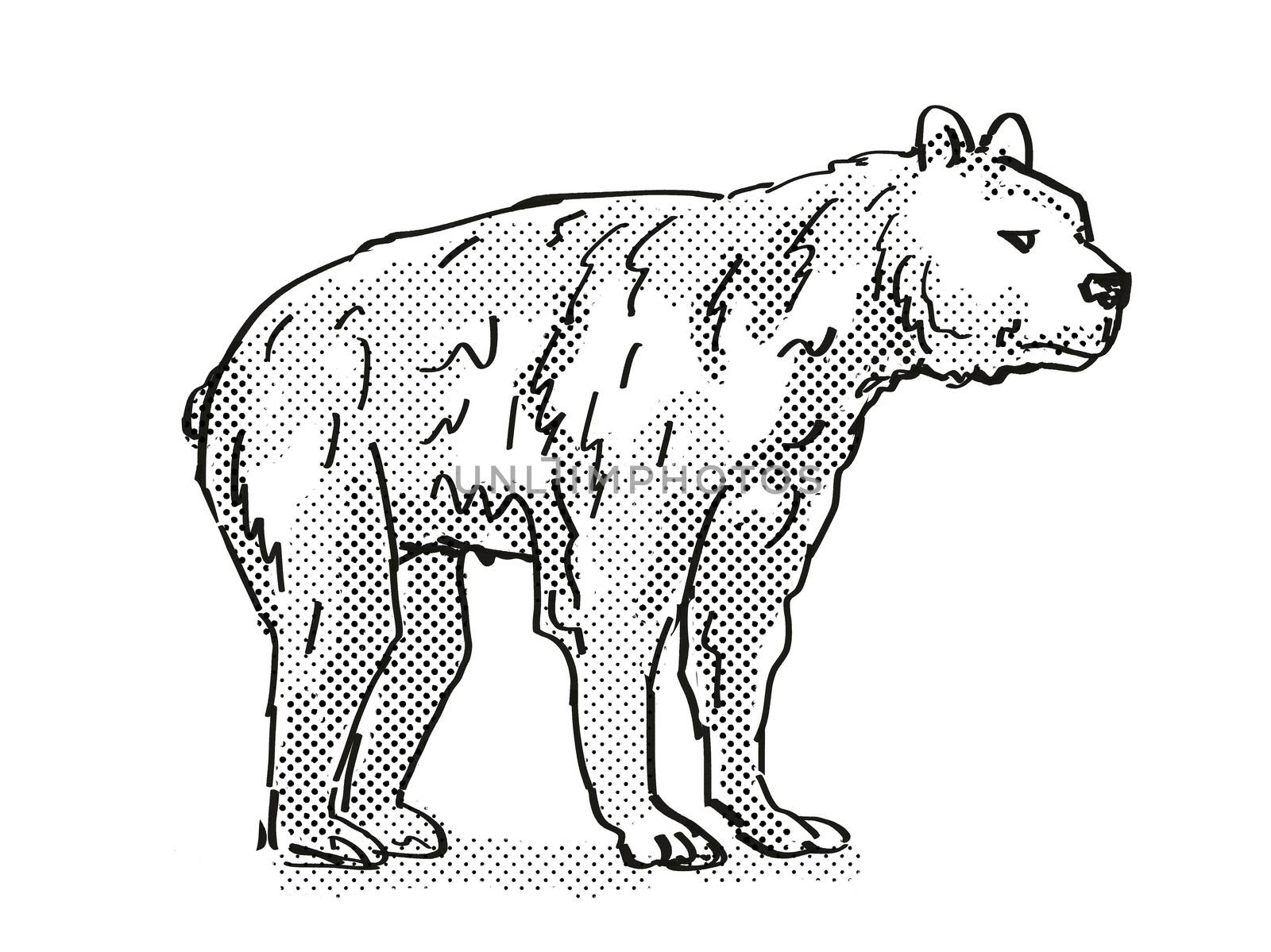 Retro cartoon style drawing of a Short-Faced Bear, an extinct North American wildlife species on isolated background done in black and white full body.