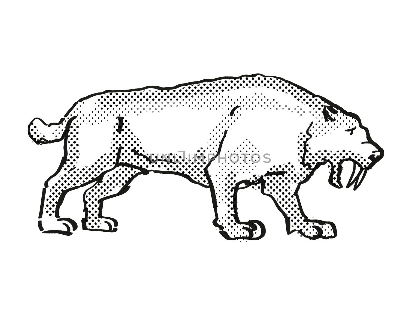 Retro cartoon style drawing of a Smilidon Populator, an extinct North American wildlife species on isolated background done in black and white full body.