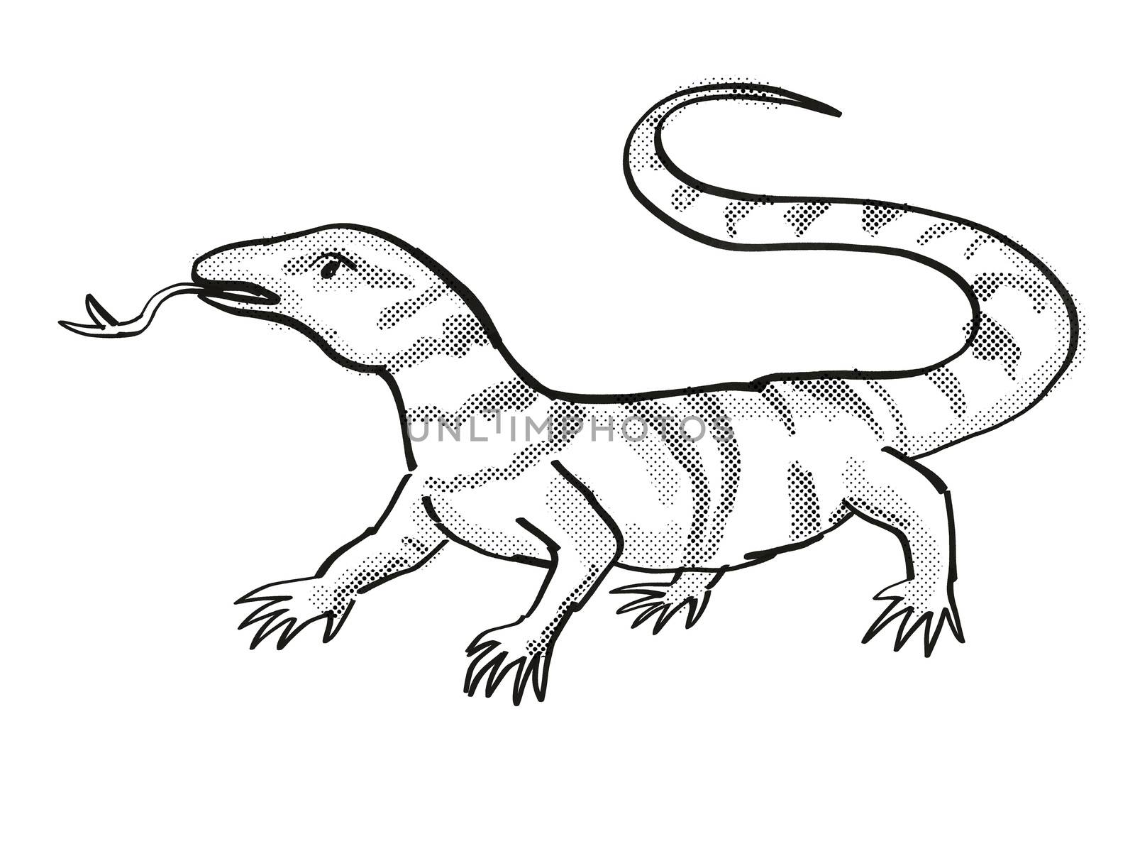 Retro cartoon line drawing style drawing of a Gray's Monitor, an endangered wildlife species on isolated background done in black and white full body.