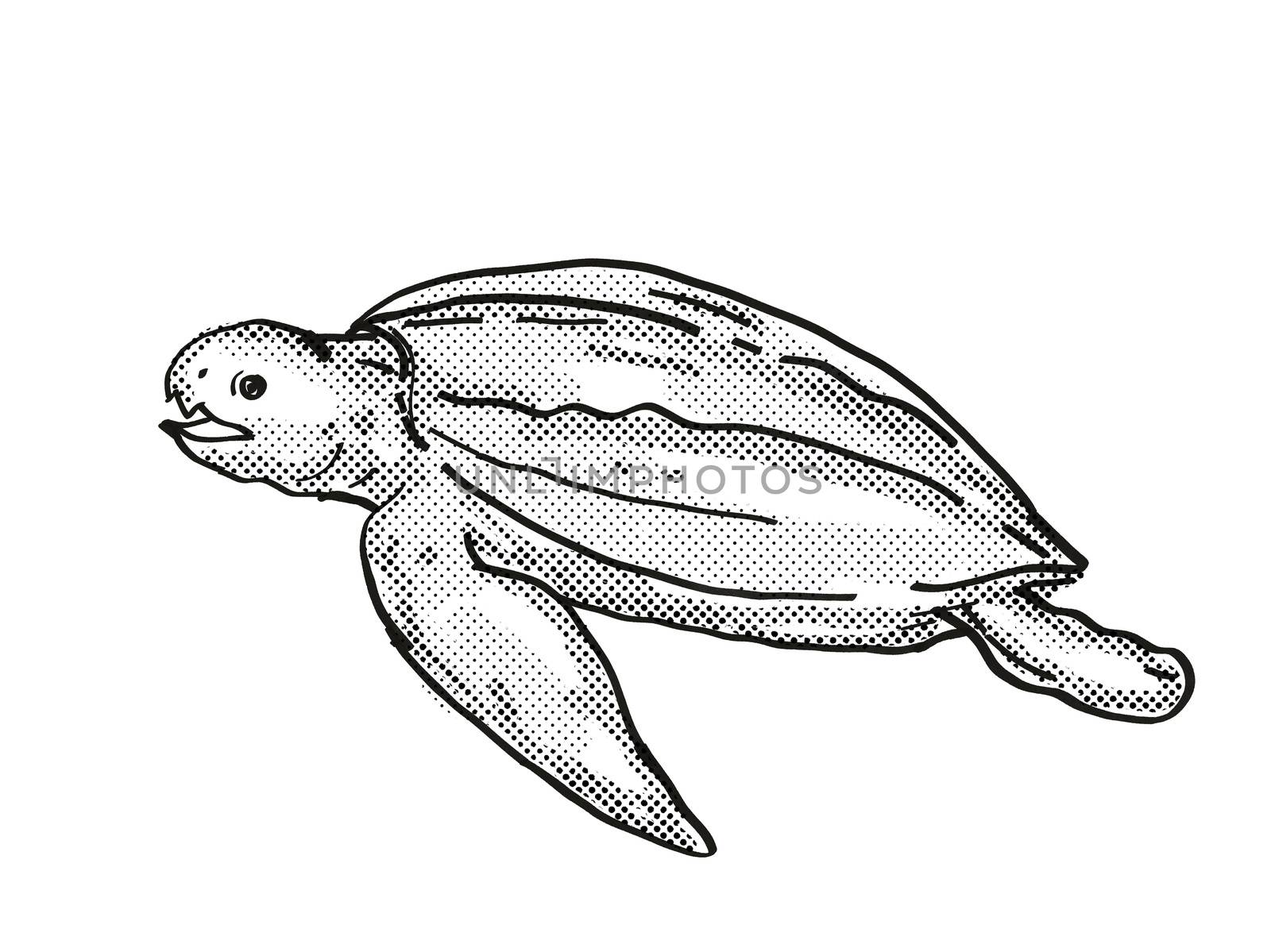 Leatherback Sea Turtle Endangered Wildlife Cartoon Drawing by patrimonio