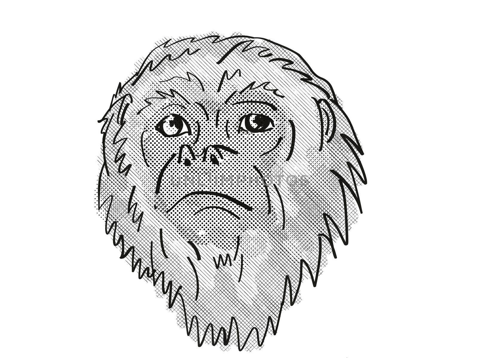 Retro cartoon style drawing head of a Yucatan Black Howler Monkey, a primate species viewed from front on isolated white background done in black and white