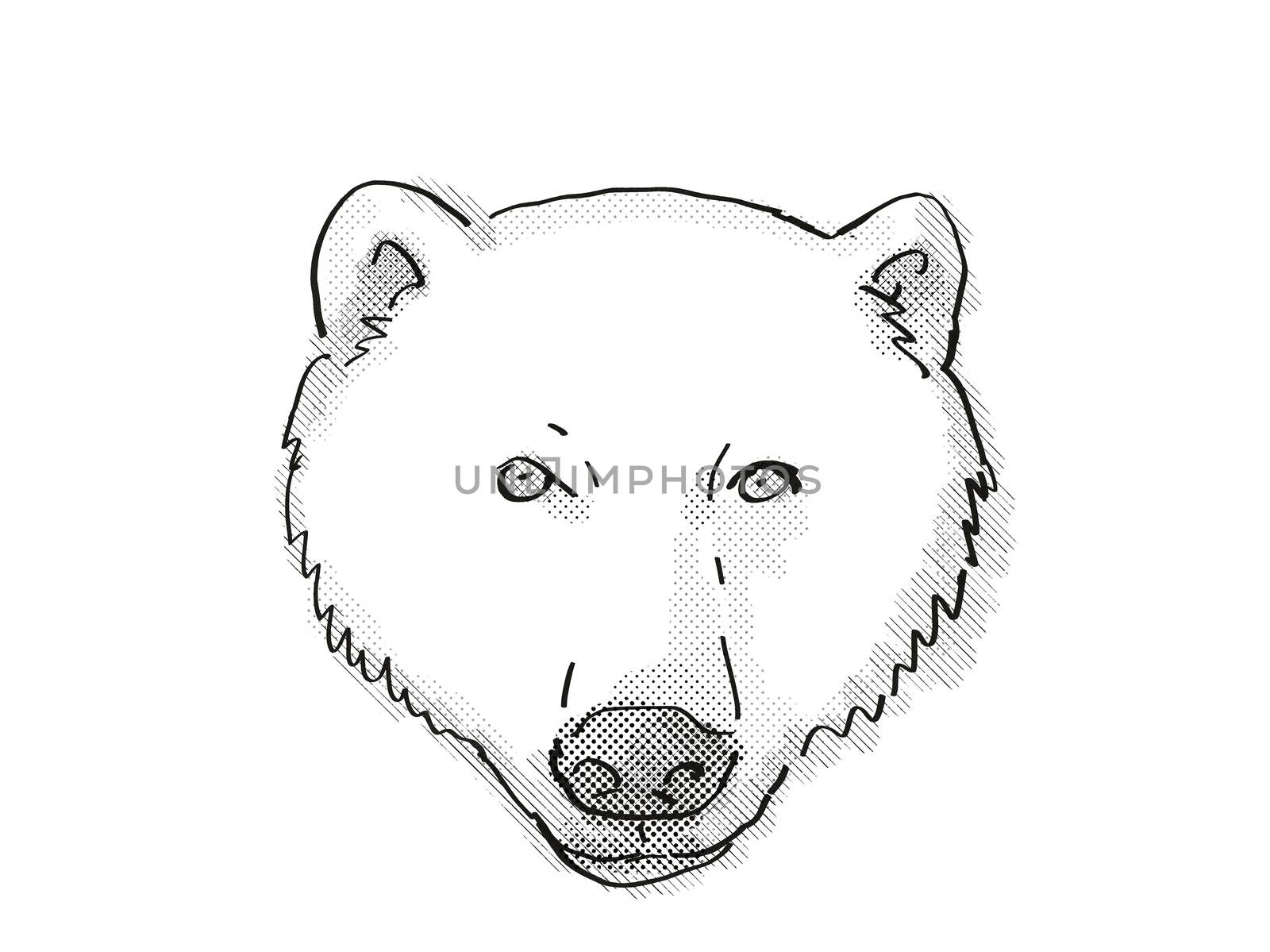 Retro cartoon style drawing of head of a Polar Bear on isolated white background done in black and white.