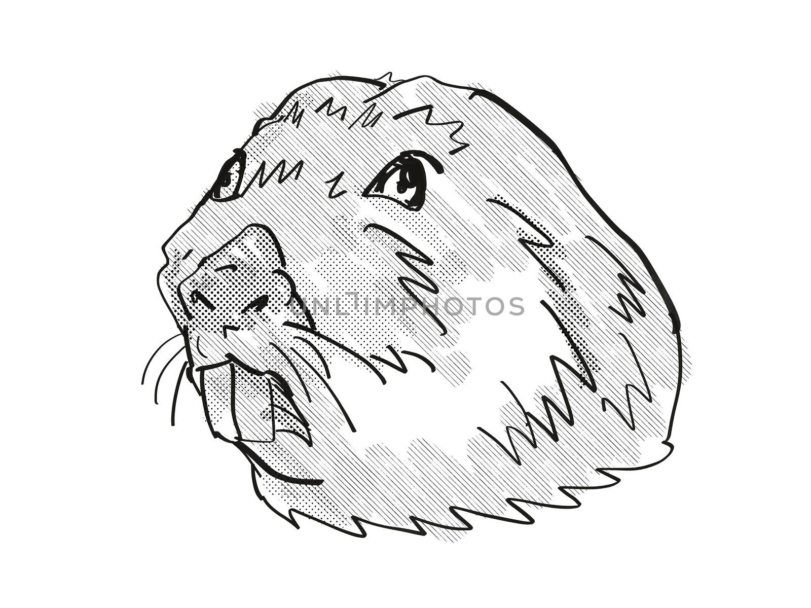 Retro cartoon style drawing of head of a Colonial Tuco Tuco, an endangered wildlife species on isolated white background done in black and white.