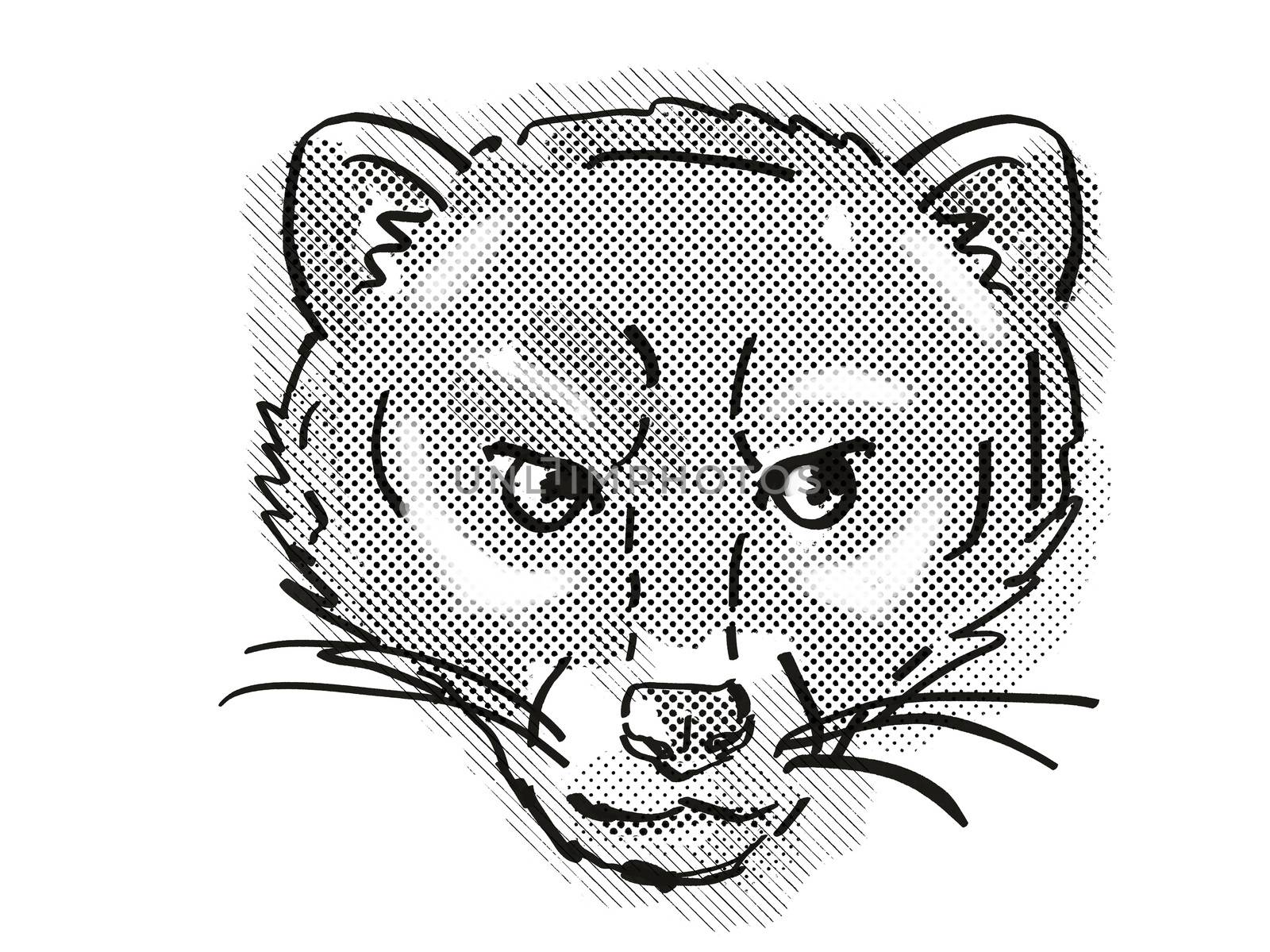 Malayan Civet or Viverra Tangalunga Endangered Wildlife Cartoon Retro Drawing by patrimonio