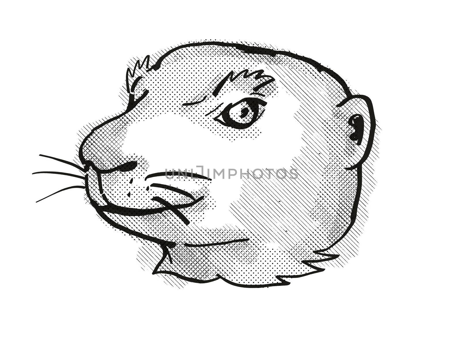 Retro cartoon style drawing of head of a Utah Prairie Dog, an endangered wildlife species on isolated white background done in black and white.