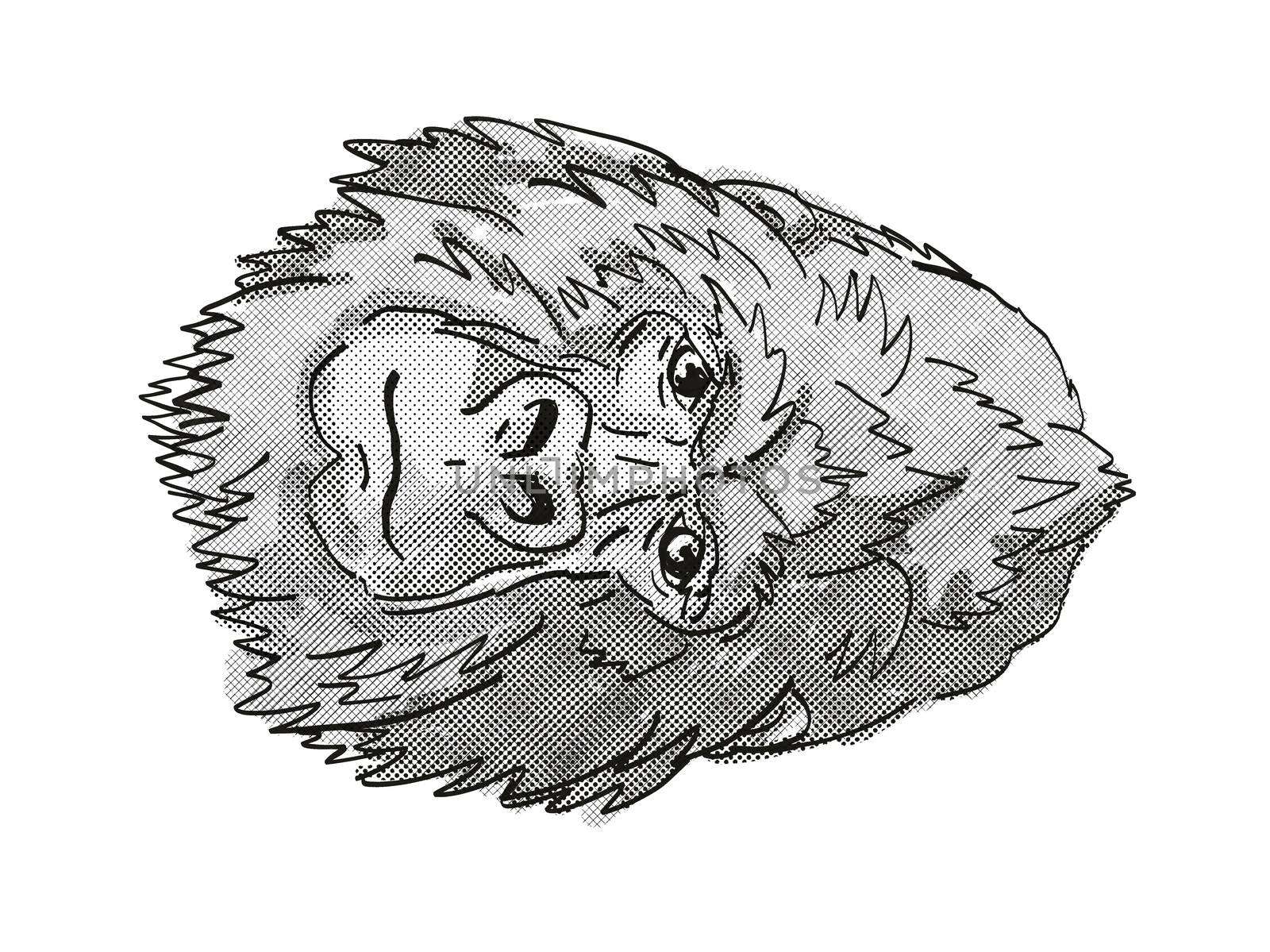 Silver Back or Mountain Gorilla Cartoon Retro Drawing by patrimonio