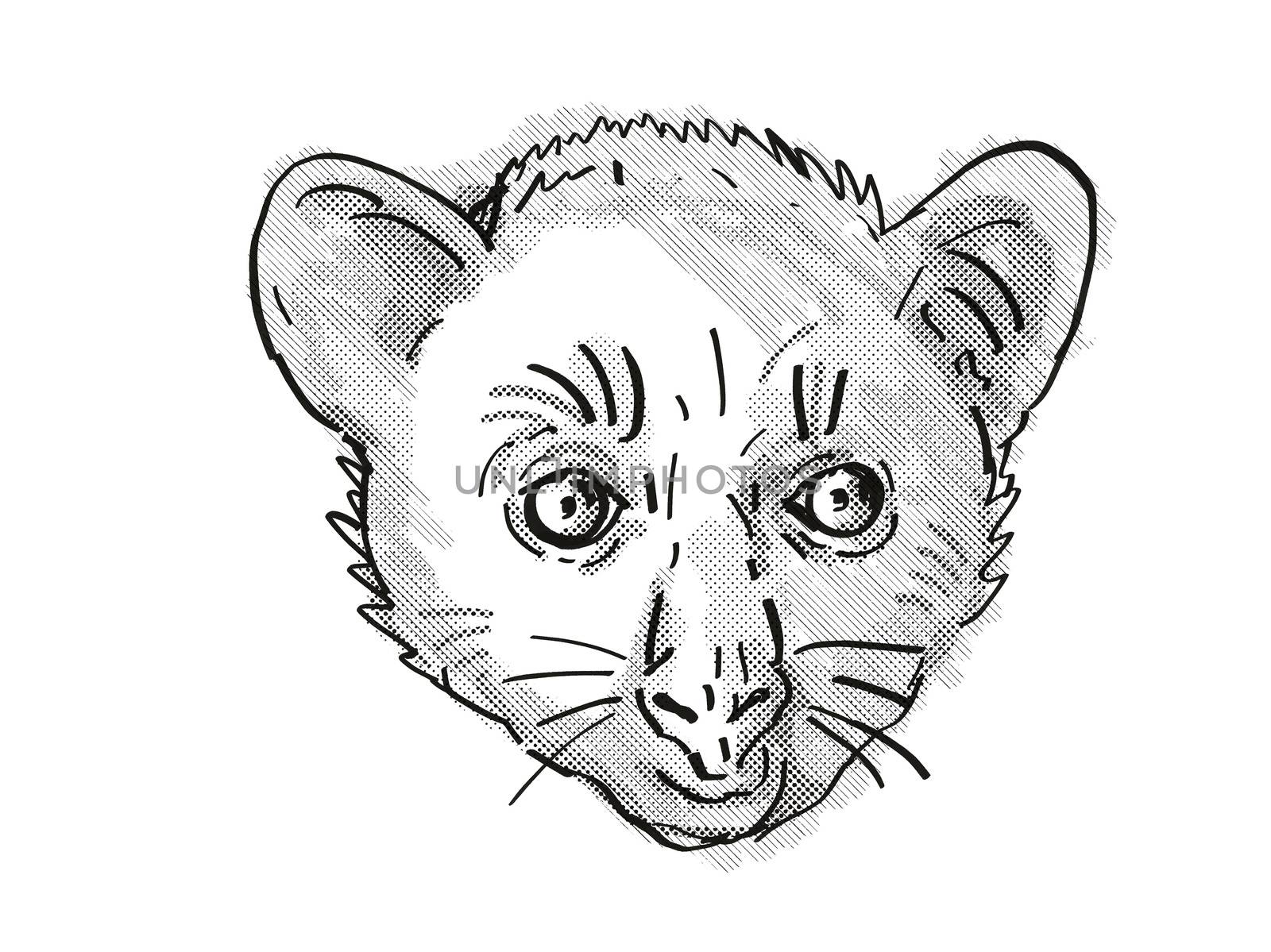 Retro cartoon style drawing of head of an Aye-Aye or Daubentonia madagascariensis , an endangered wildlife species on isolated white background done in black and white.