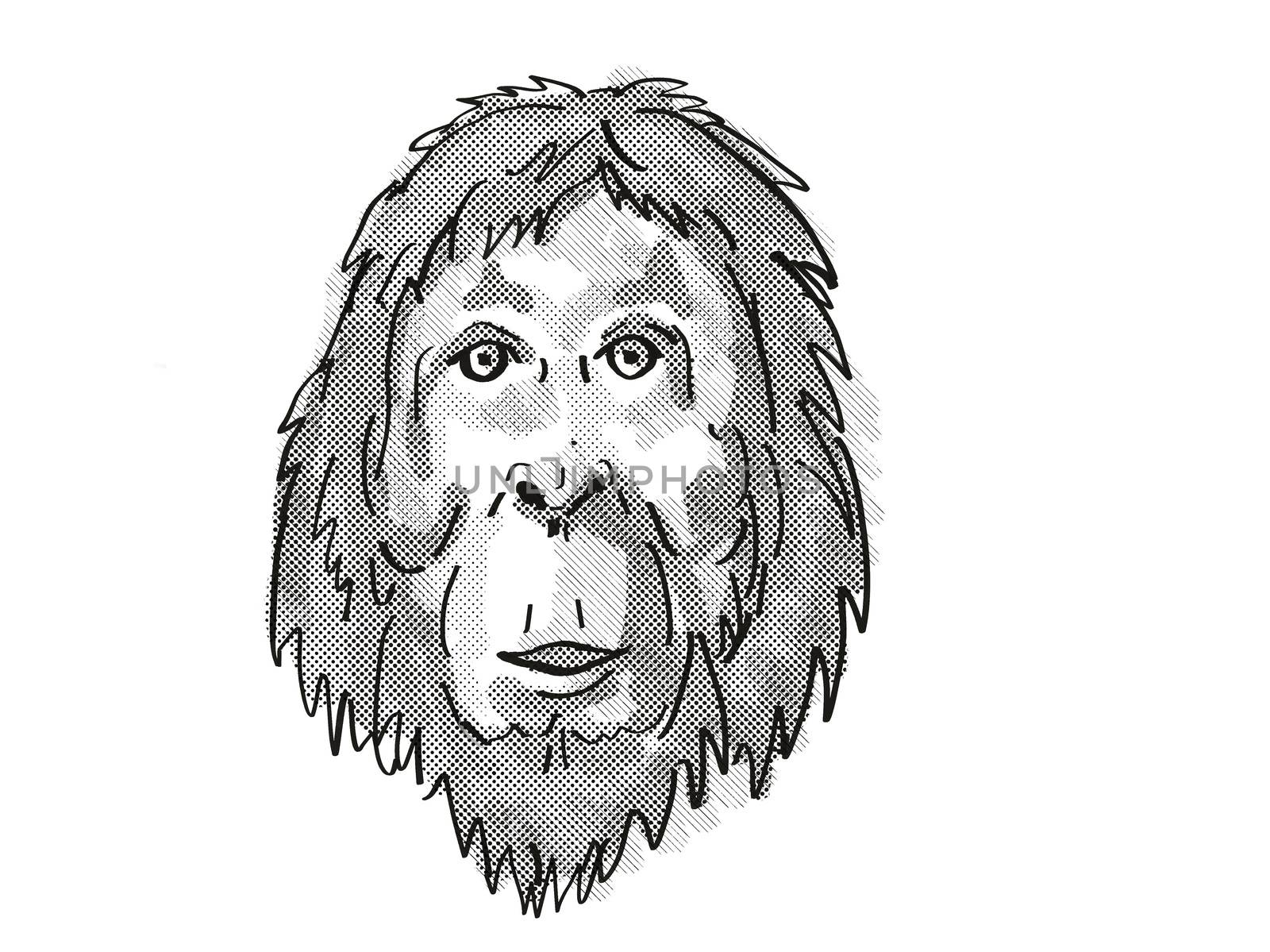 Orangutan Endangered Wildlife Cartoon Retro Drawing by patrimonio