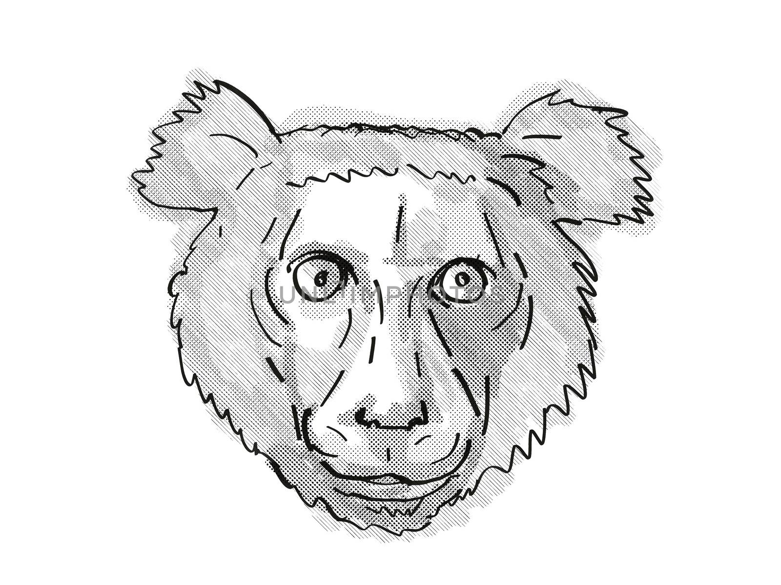 Indri Endangered Wildlife Cartoon Retro Drawing by patrimonio