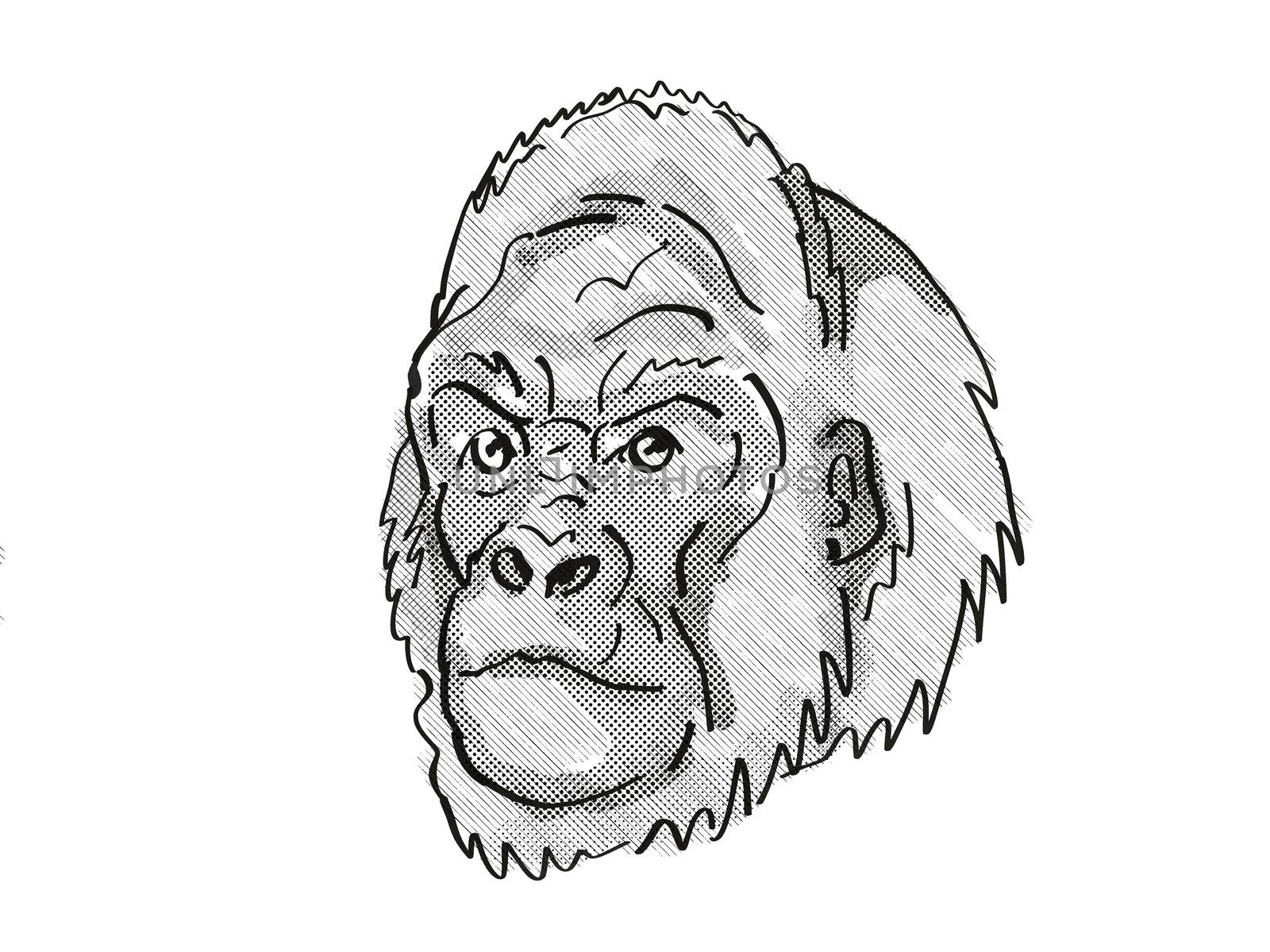 Retro cartoon style drawing of head of a Western Lowland Gorilla, an endangered wildlife species on isolated white background done in black and white.