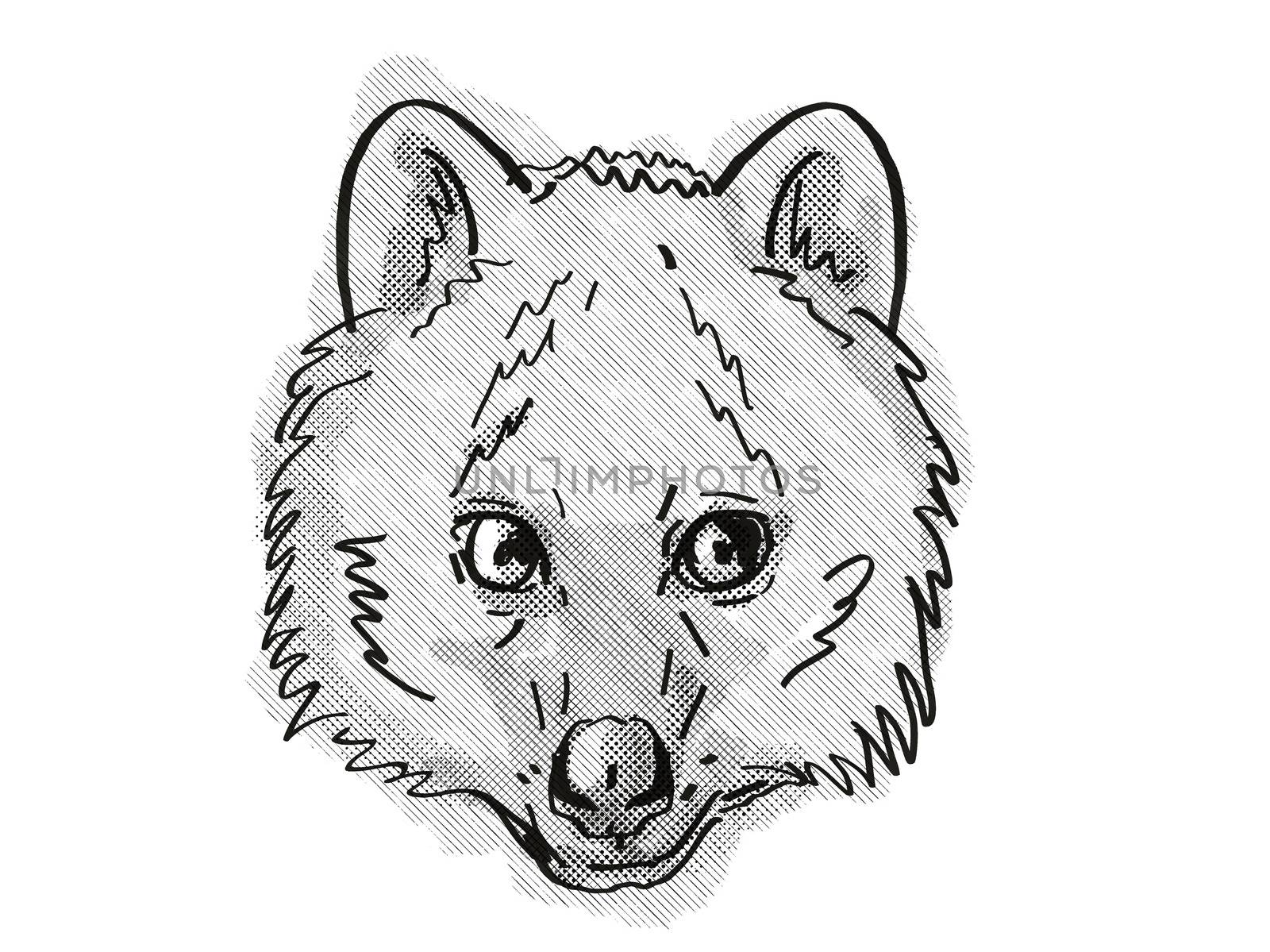 Retro cartoon style drawing of head of a Quokka, a small marsupial found in  south-west of Australia and an endangered wildlife species on isolated white background done in black and white.