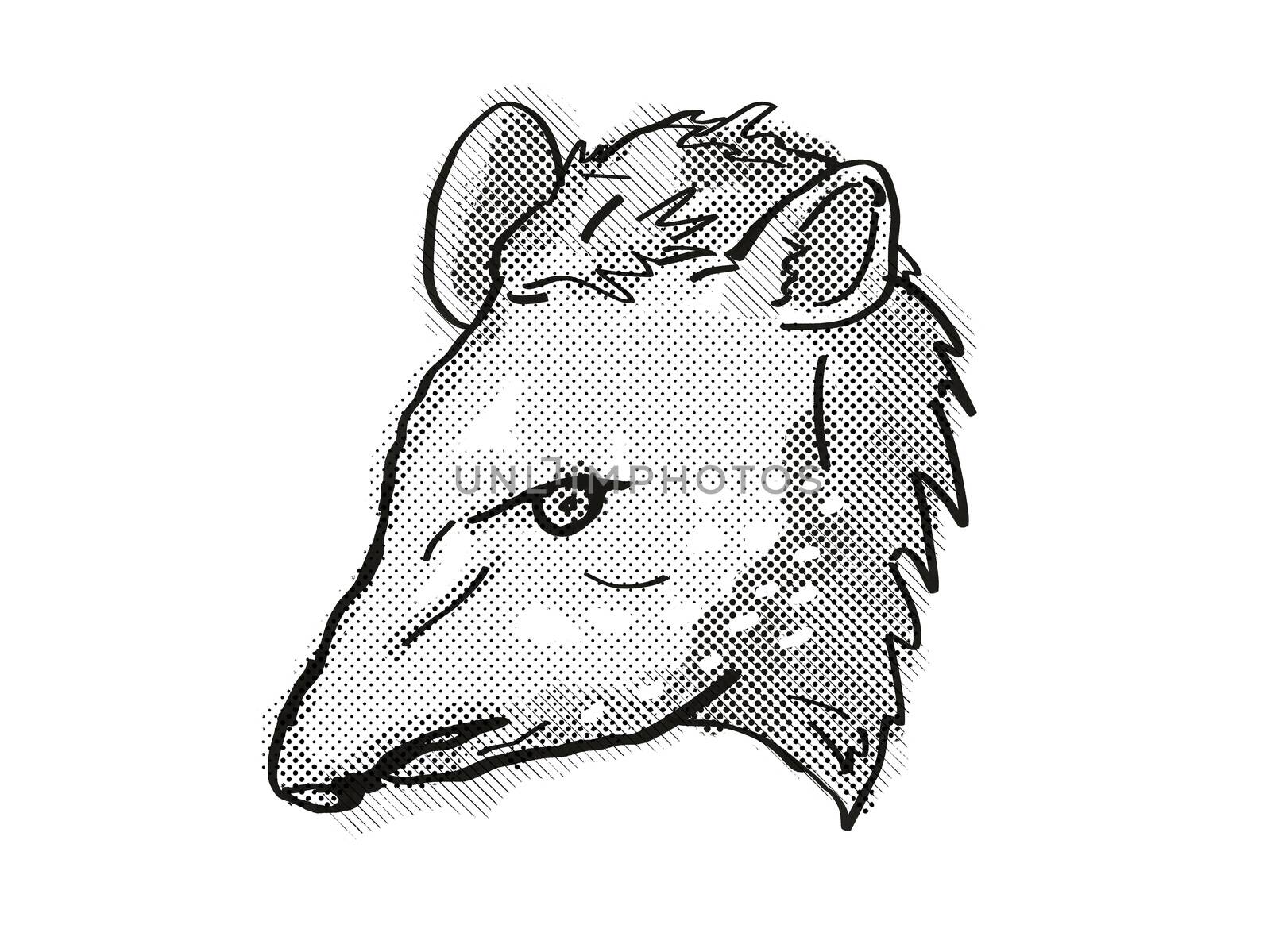 Retro cartoon style drawing of head of a tapir, a large mammal with pig-like appearance and an endangered wildlife species on isolated white background done in black and white.