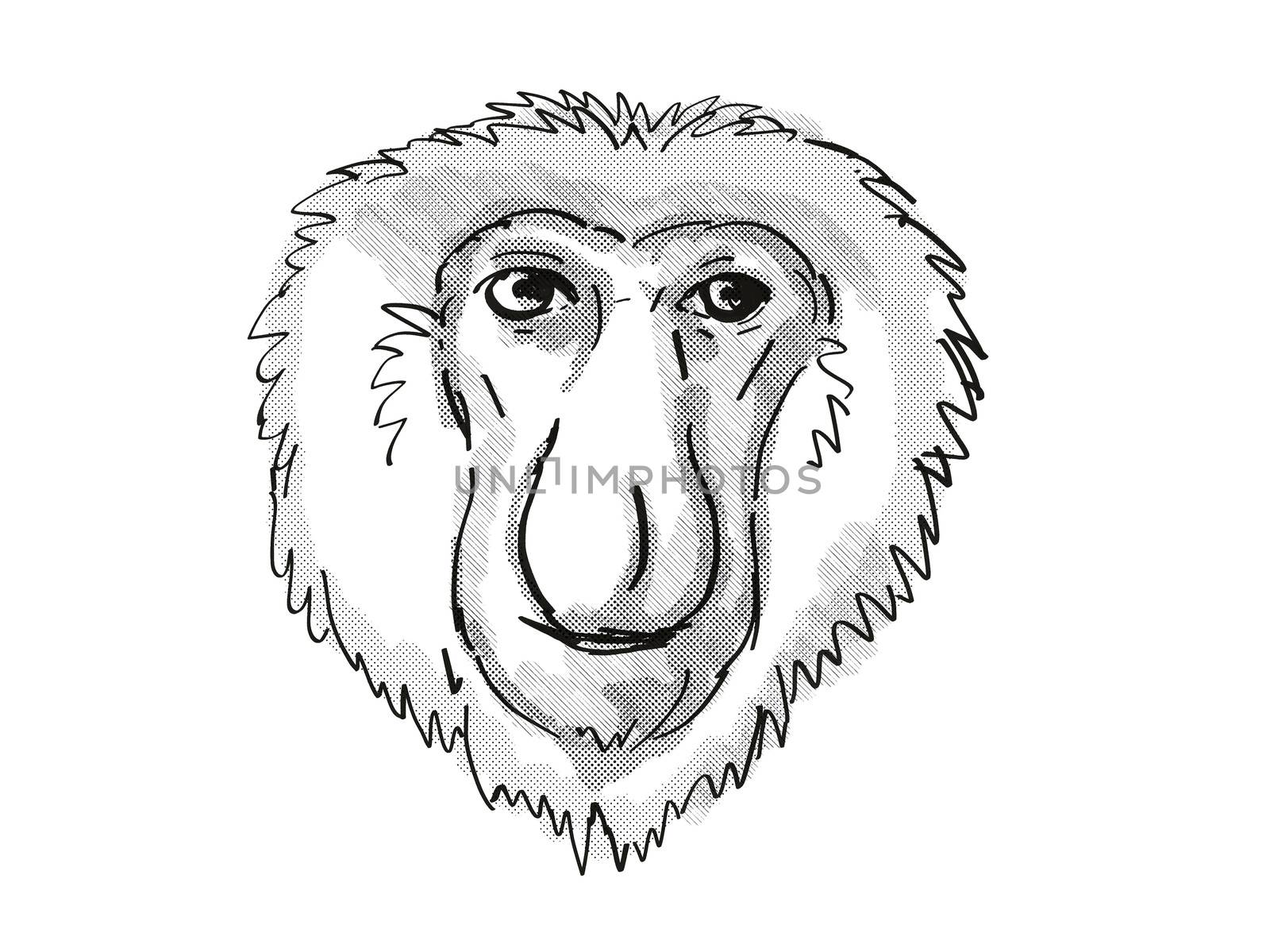 Retro cartoon style drawing of head of a Proboscis Monkey, a medium-sized arboreal primate in Borneo and an endangered wildlife species on isolated white background done in black and white.