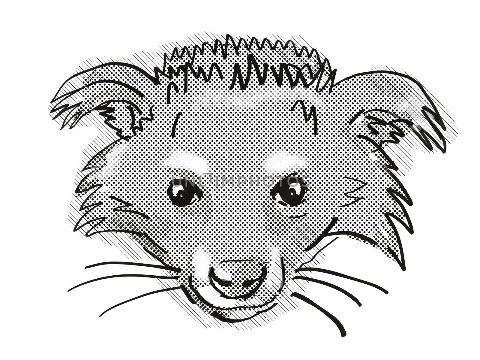 Retro cartoon style drawing of head of a Binturong or Arctictis binturong, an endangered wildlife species on isolated white background done in black and white.
