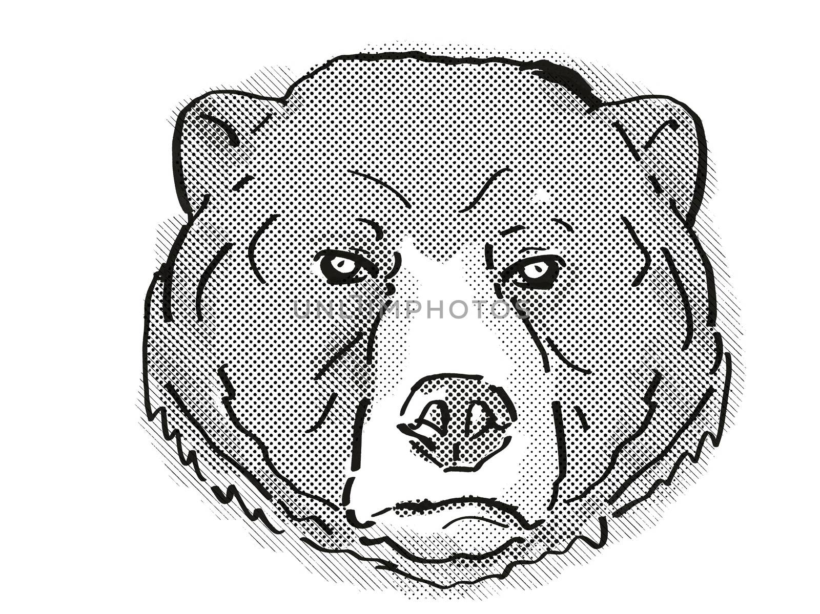 Sun Bear or Helarctos malayanus Endangered Wildlife Cartoon Retro Drawing by patrimonio