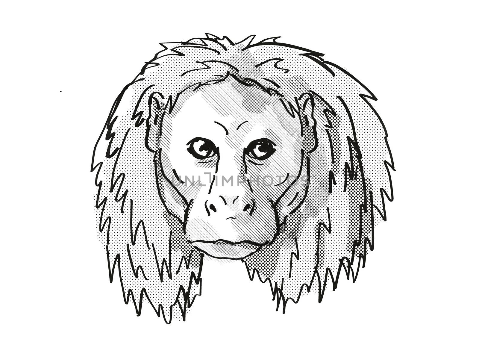 Uakari Endangered Wildlife Cartoon Retro Drawing by patrimonio