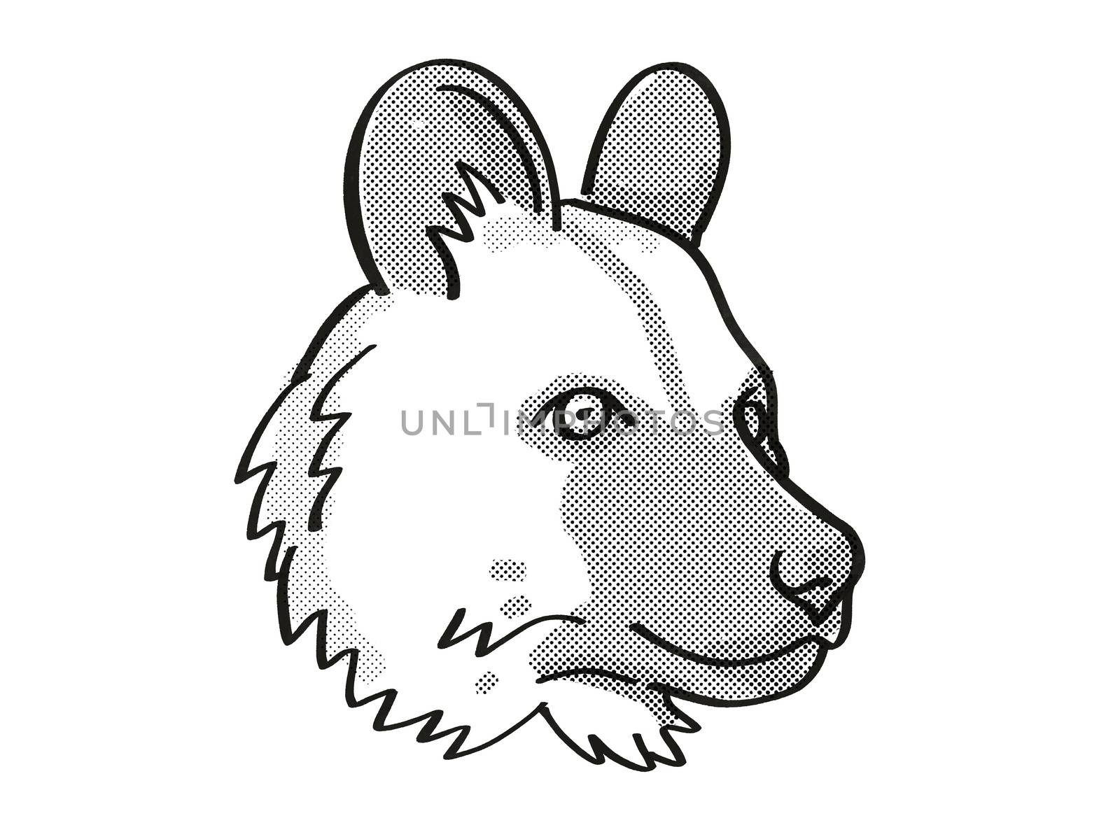 Retro cartoon mono line style drawing of head of an African Wild Dog also known as Painted Dog and Cape Hunting Dog, an endangered wildlife species on isolated background done in black and white.