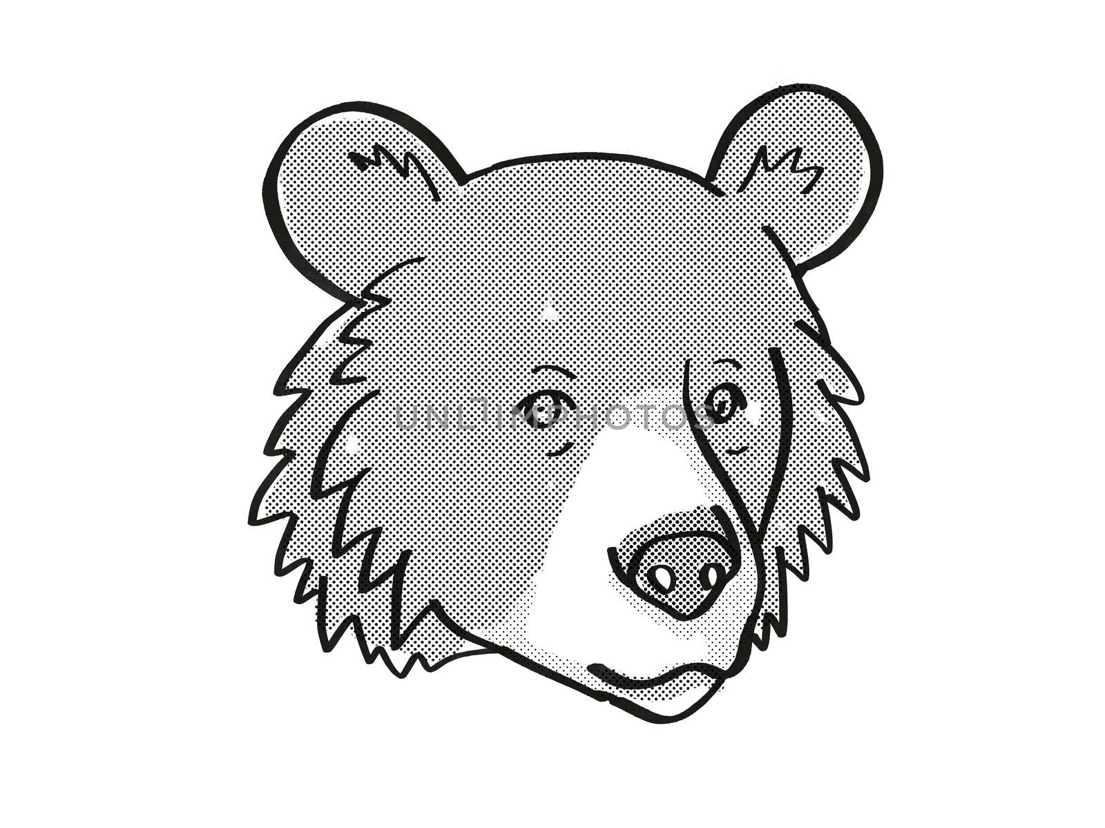 Retro cartoon mono line style drawing of head of an Asiatic Black Bear or Ursus tibetanus, an endangered wildlife species on isolated white background done in black and white.